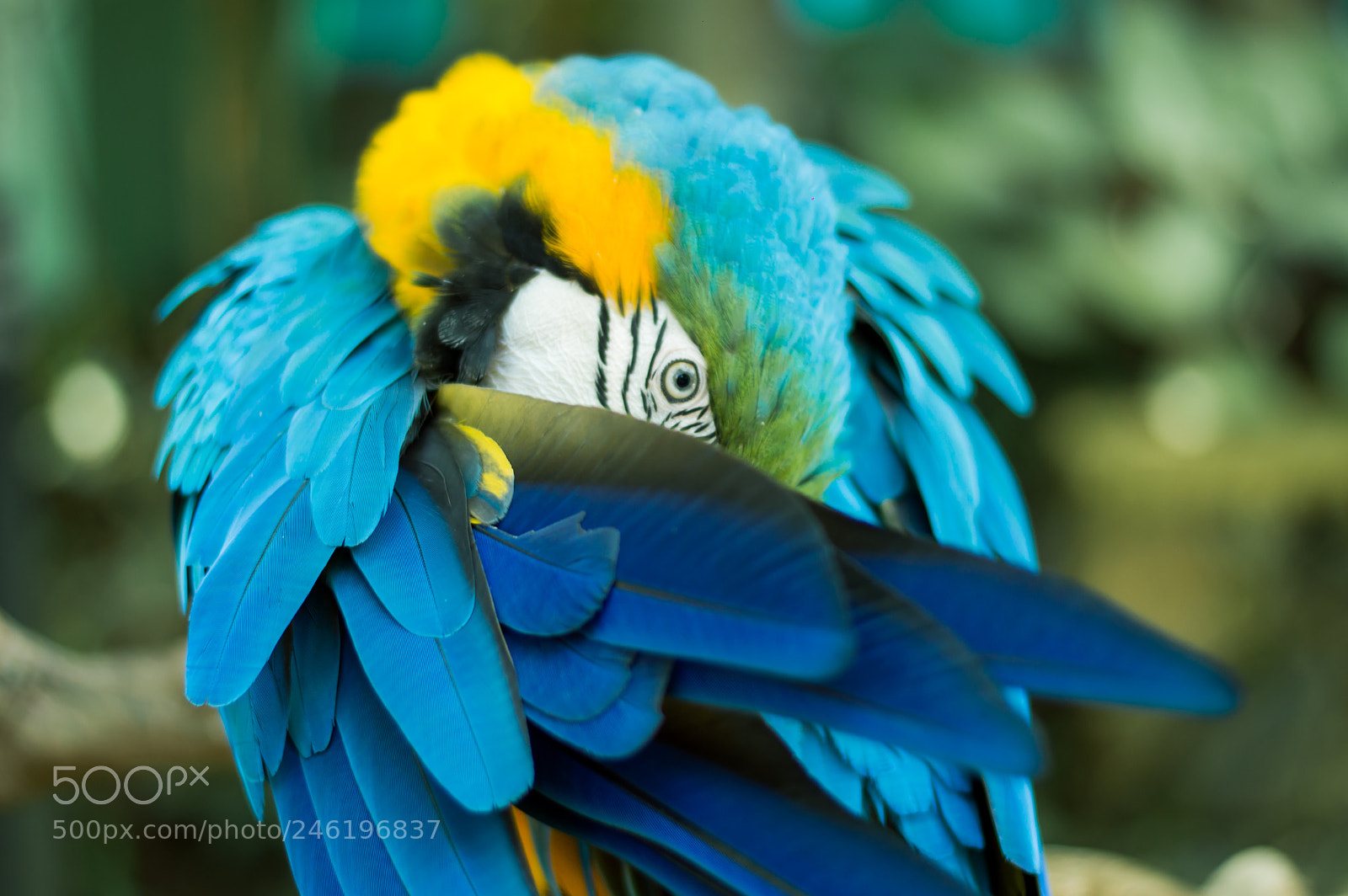 Nikon D3200 sample photo. 31217-0086.jpg photography