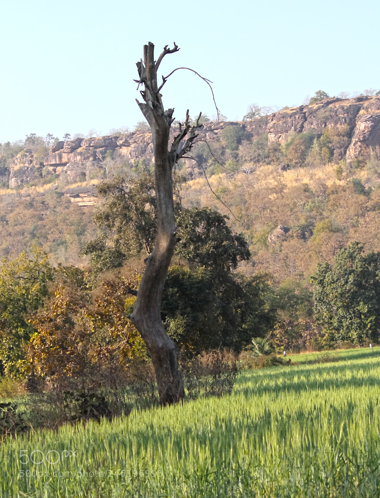 Canon EOS 1100D (EOS Rebel T3 / EOS Kiss X50) sample photo. Countryside photography