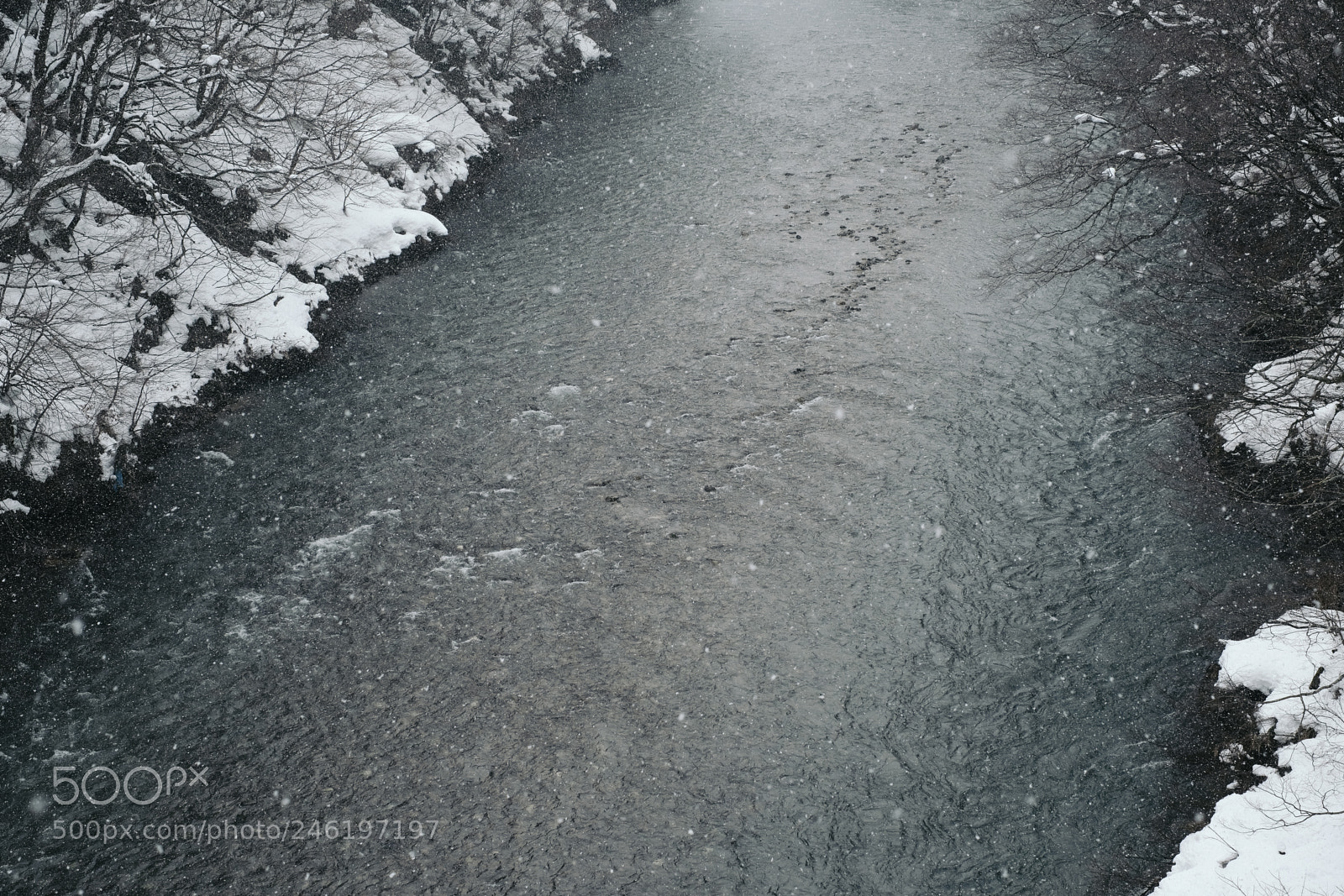 Fujifilm X-Pro2 sample photo. Untitled photography