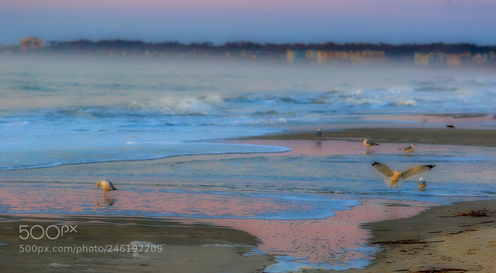 Canon EOS 7D Mark II sample photo. Winter beach photography