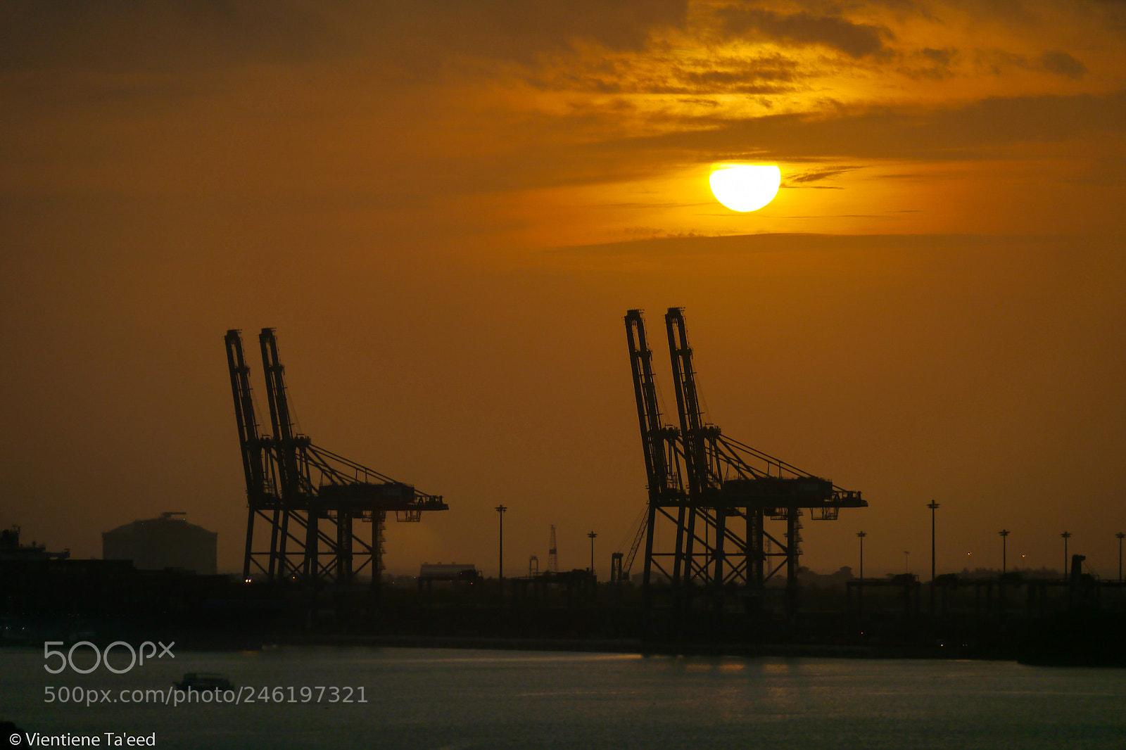 Panasonic Lumix DMC-G5 sample photo. The promenade: black cranes photography