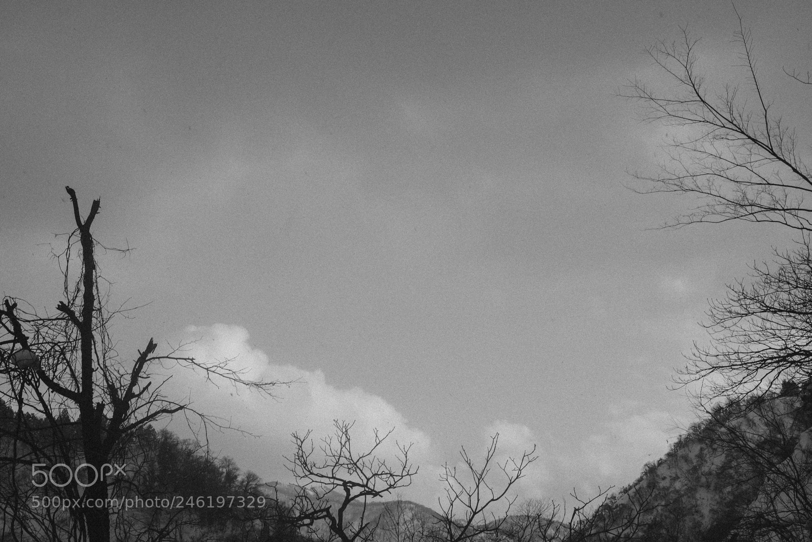 Fujifilm X-Pro2 sample photo. Untitled photography