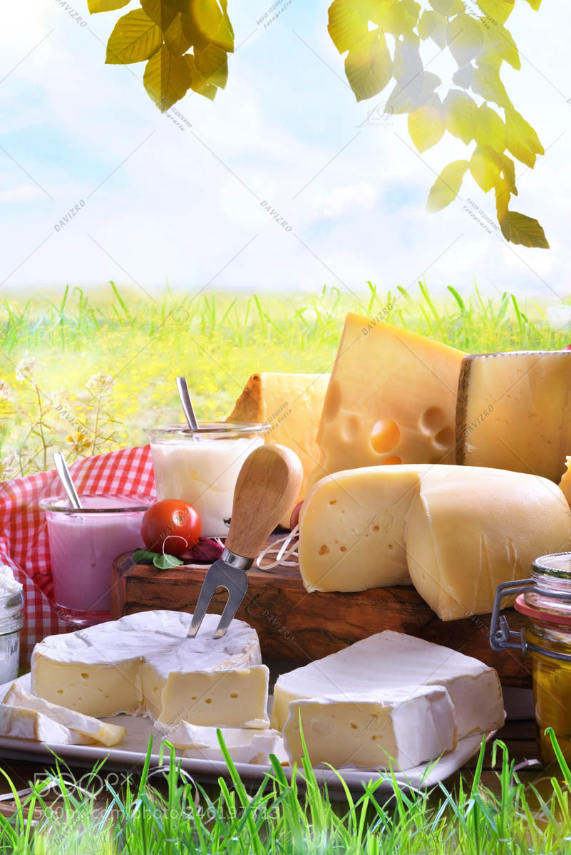 Nikon D810 sample photo. Assortment of dairy products photography