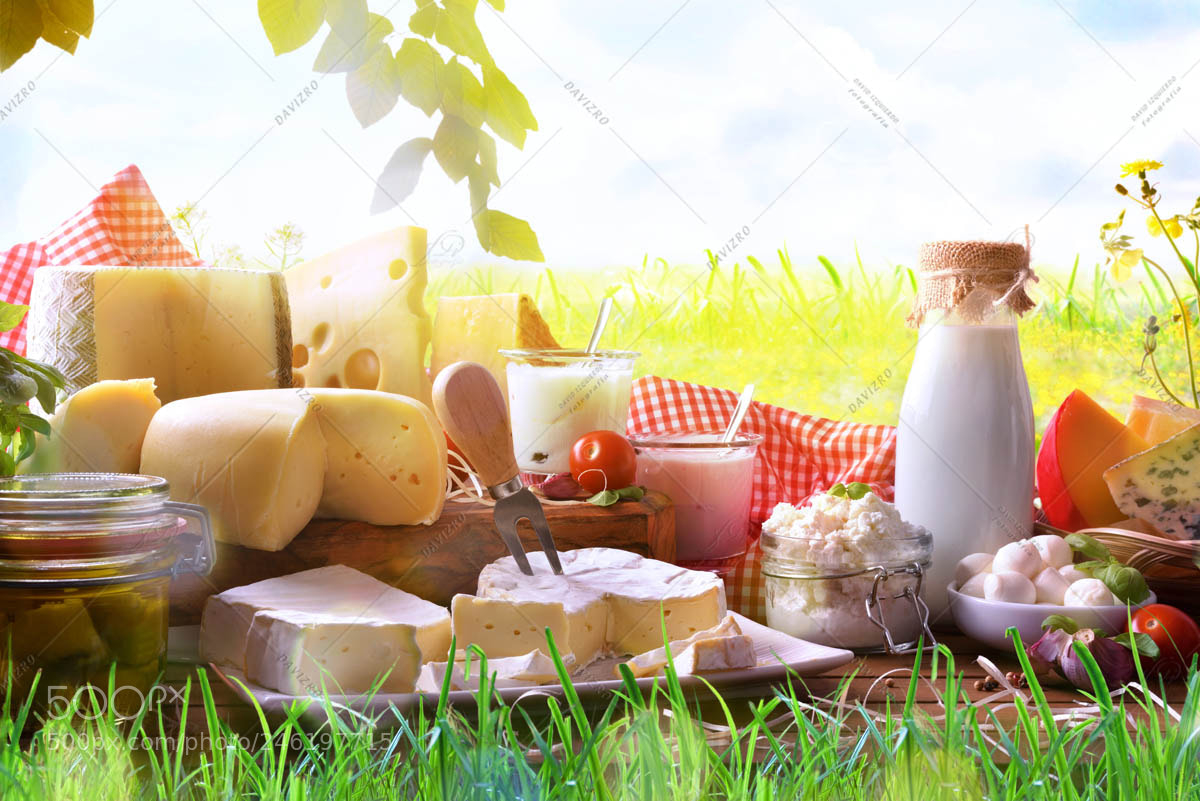 Nikon D810 sample photo. Assortment of dairy products photography