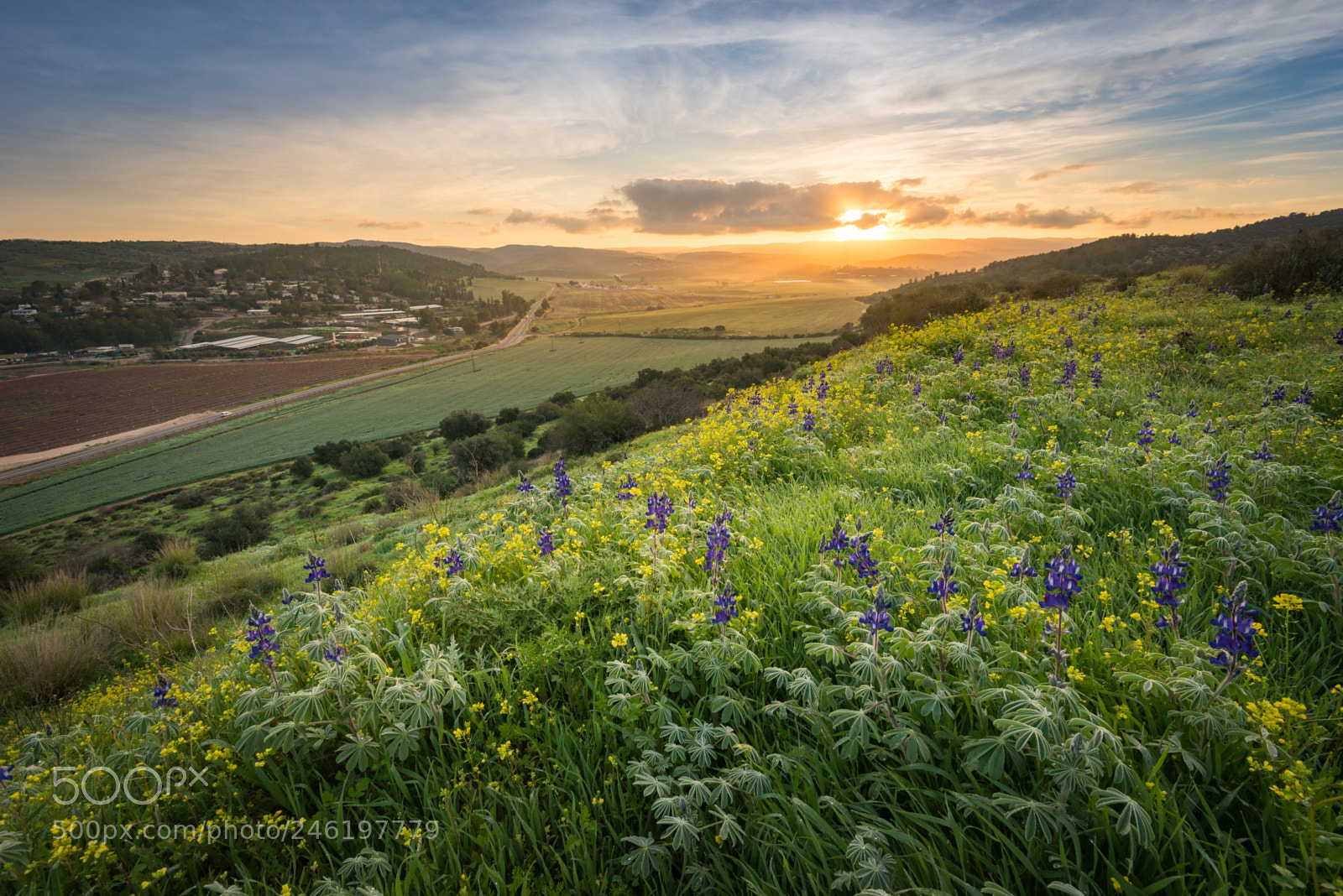 Nikon D610 sample photo. Valley sunrise photography