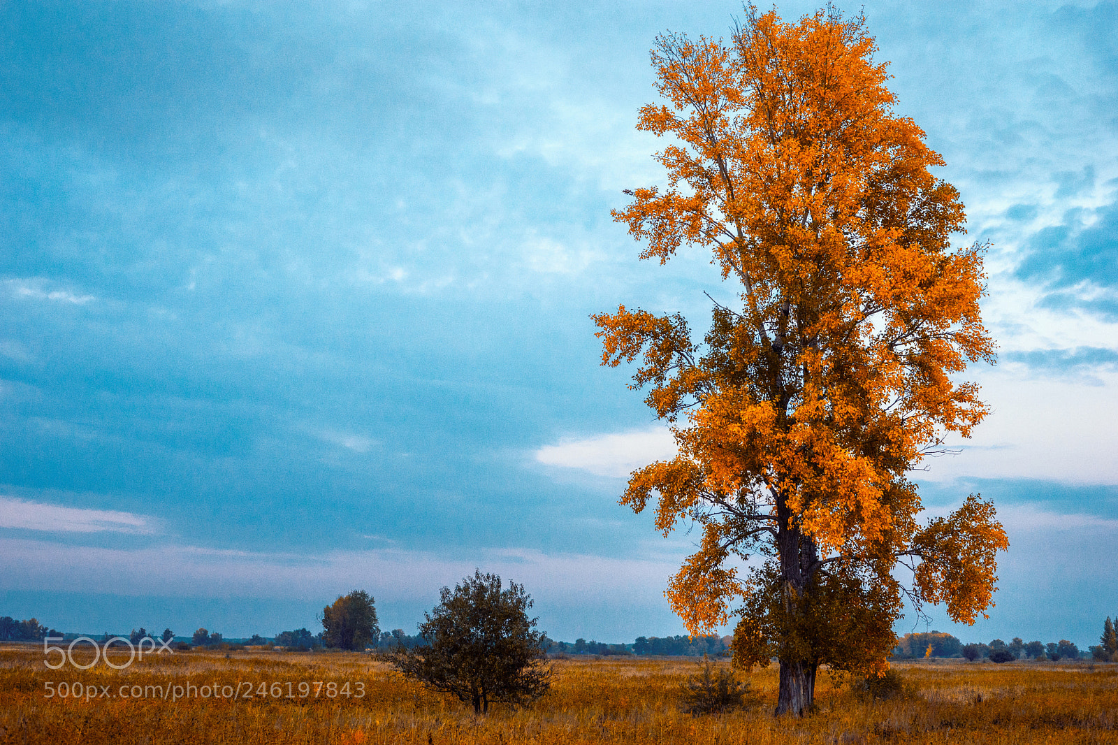 Sony a7 sample photo. Пейзаж photography