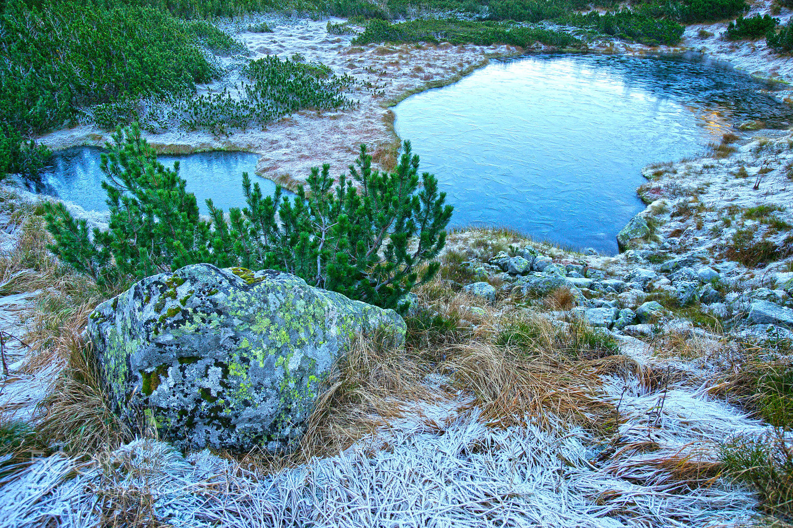 Sony Alpha DSLR-A900 sample photo. Malé Čierne pleso tarn photography