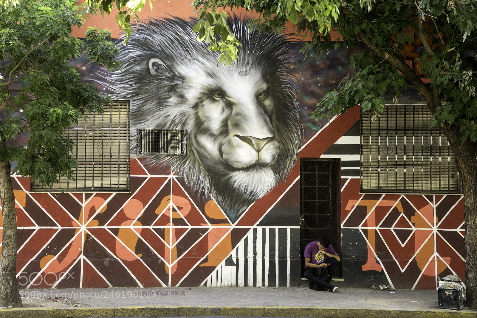 Sony a7 sample photo. Jungla urbana photography