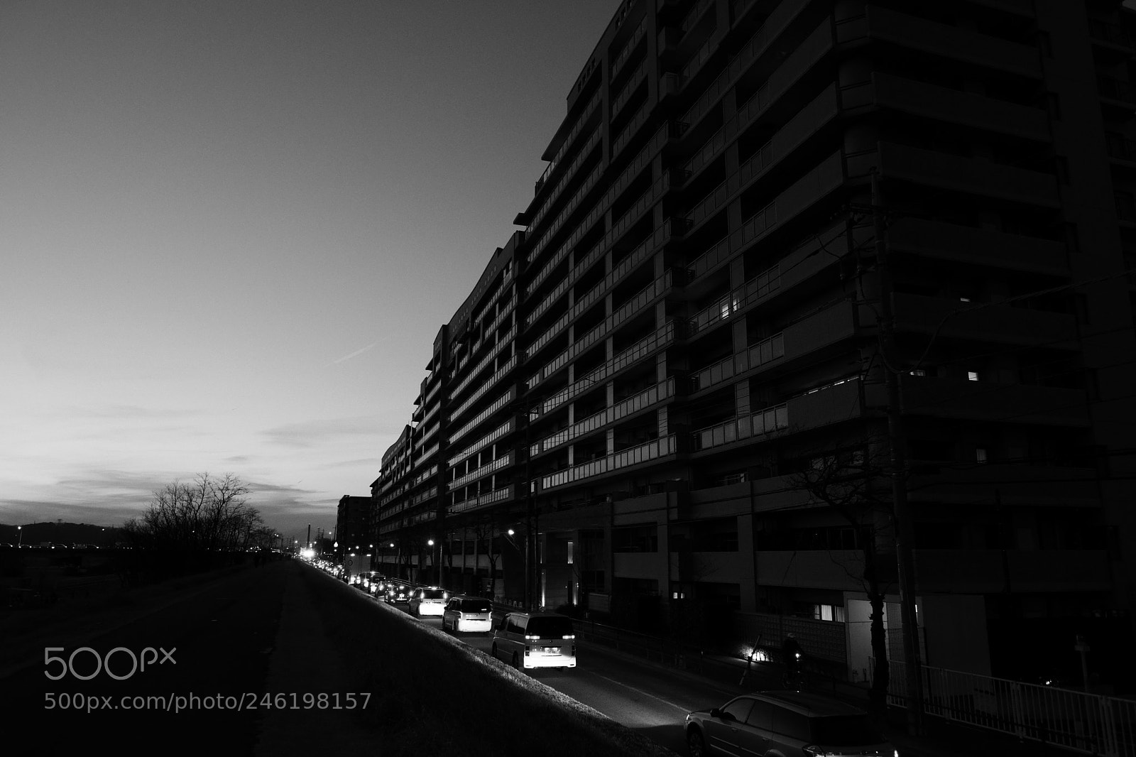 Fujifilm X-Pro2 sample photo. 夕方 photography