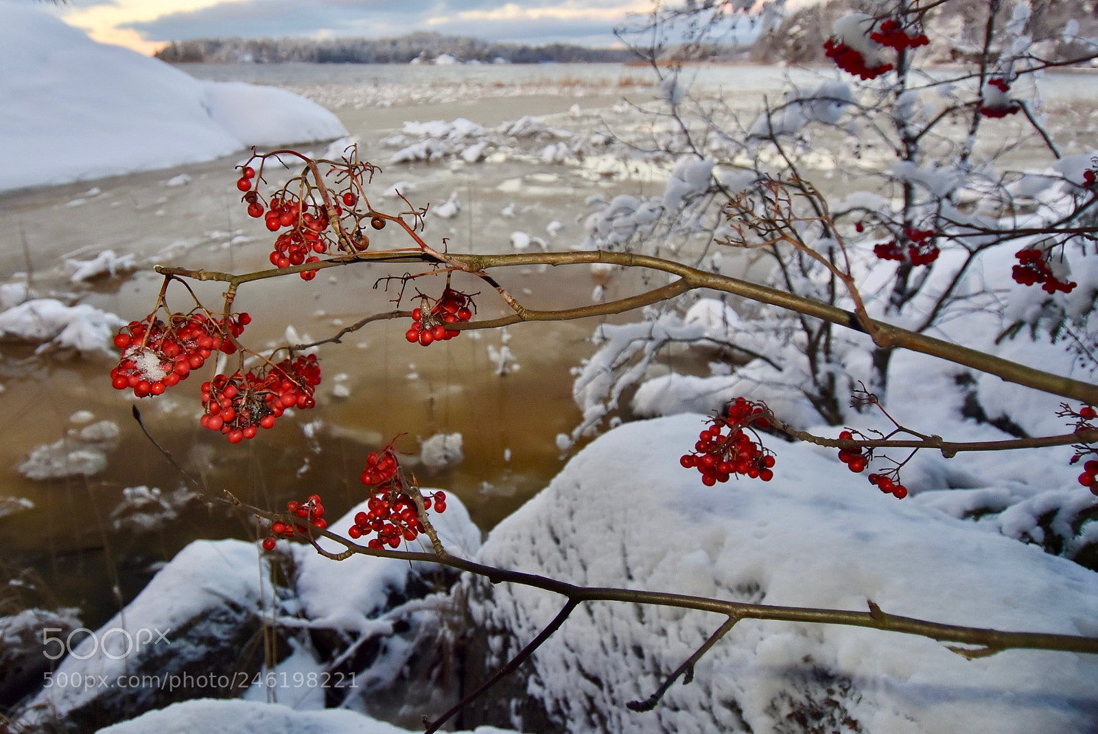 Nikon D7200 sample photo. Rowan photography