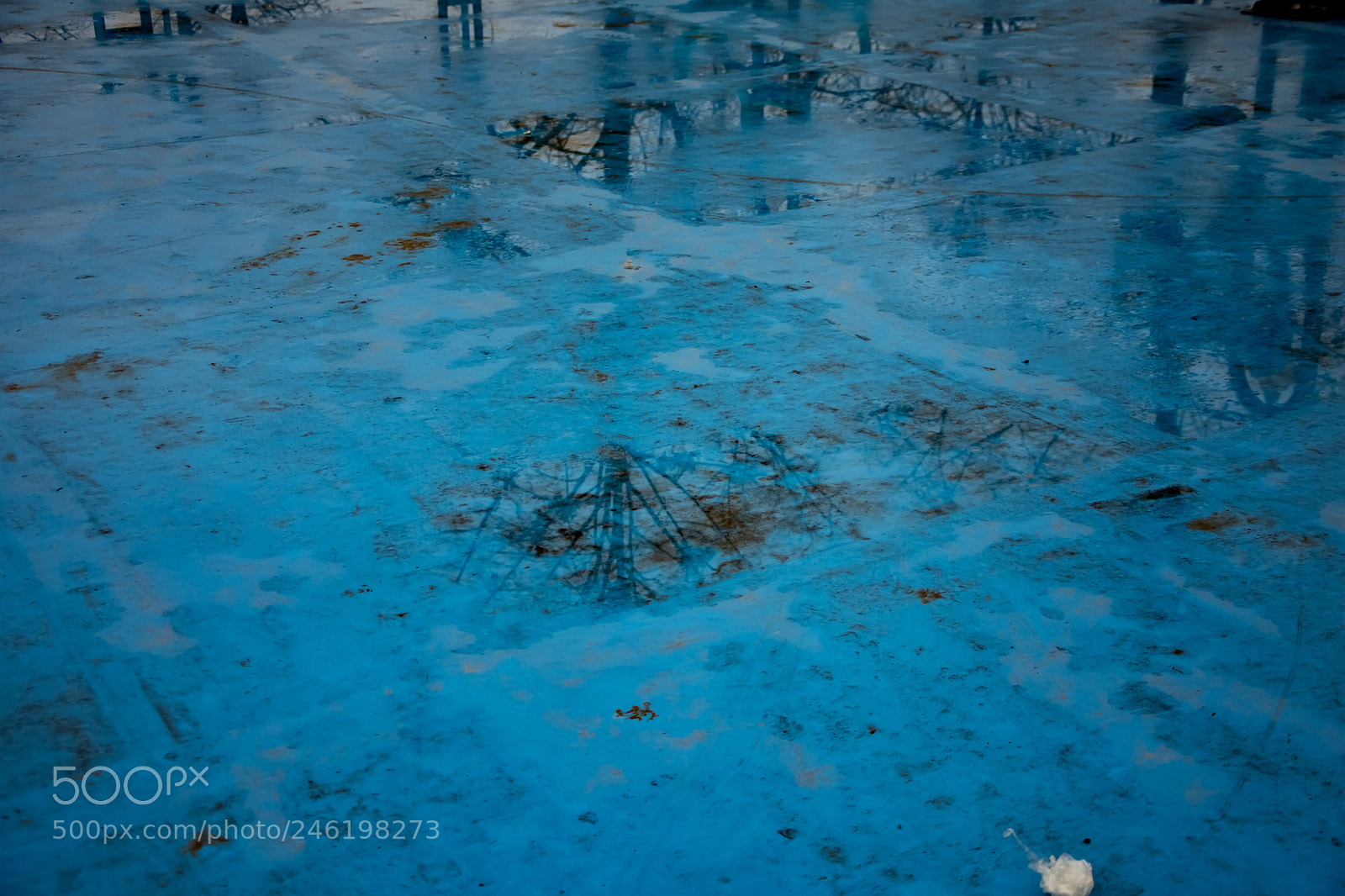 Nikon D7200 sample photo. Untitled photography