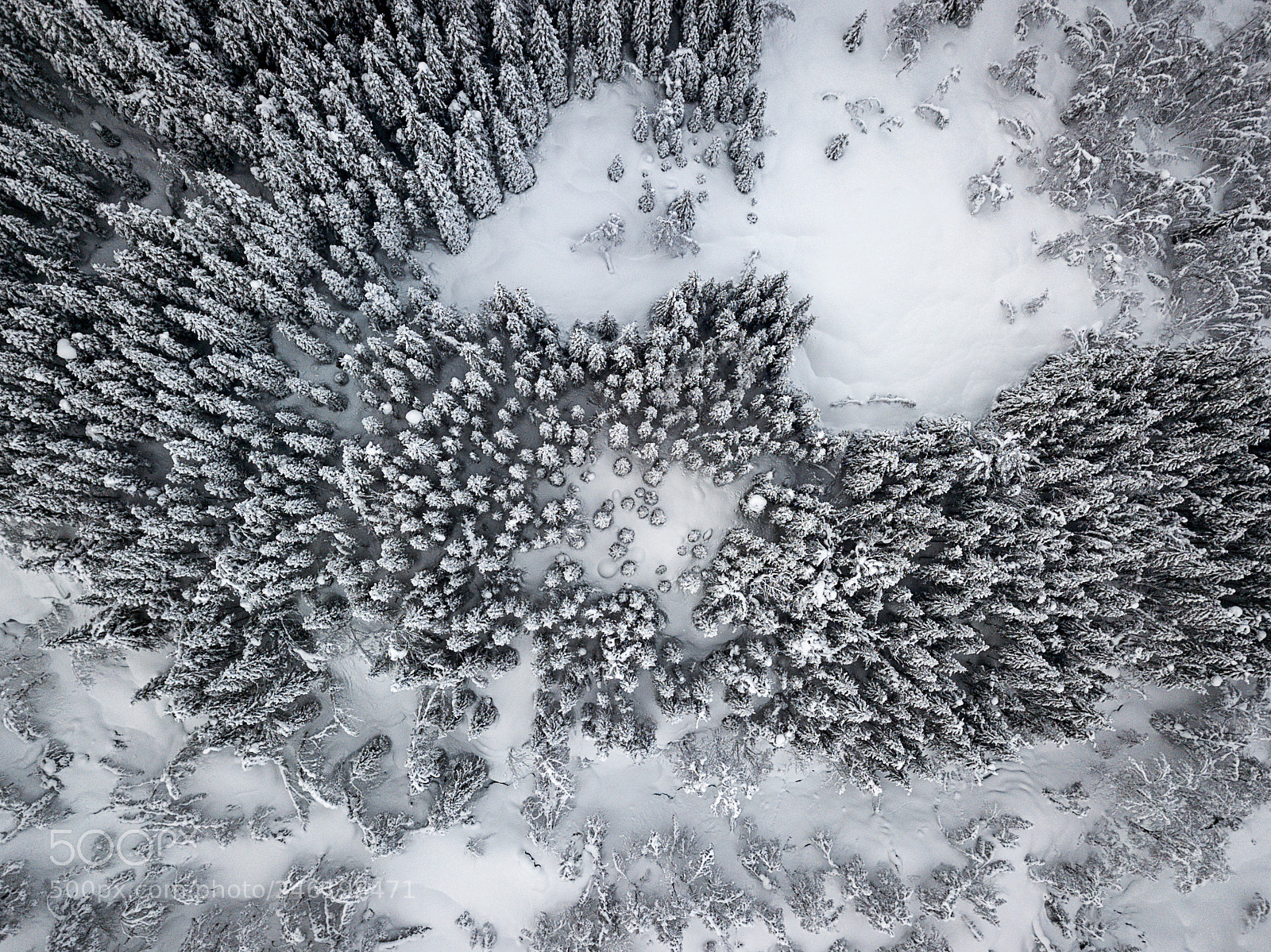 DJI FC220 sample photo. Snow in norwegian forest photography