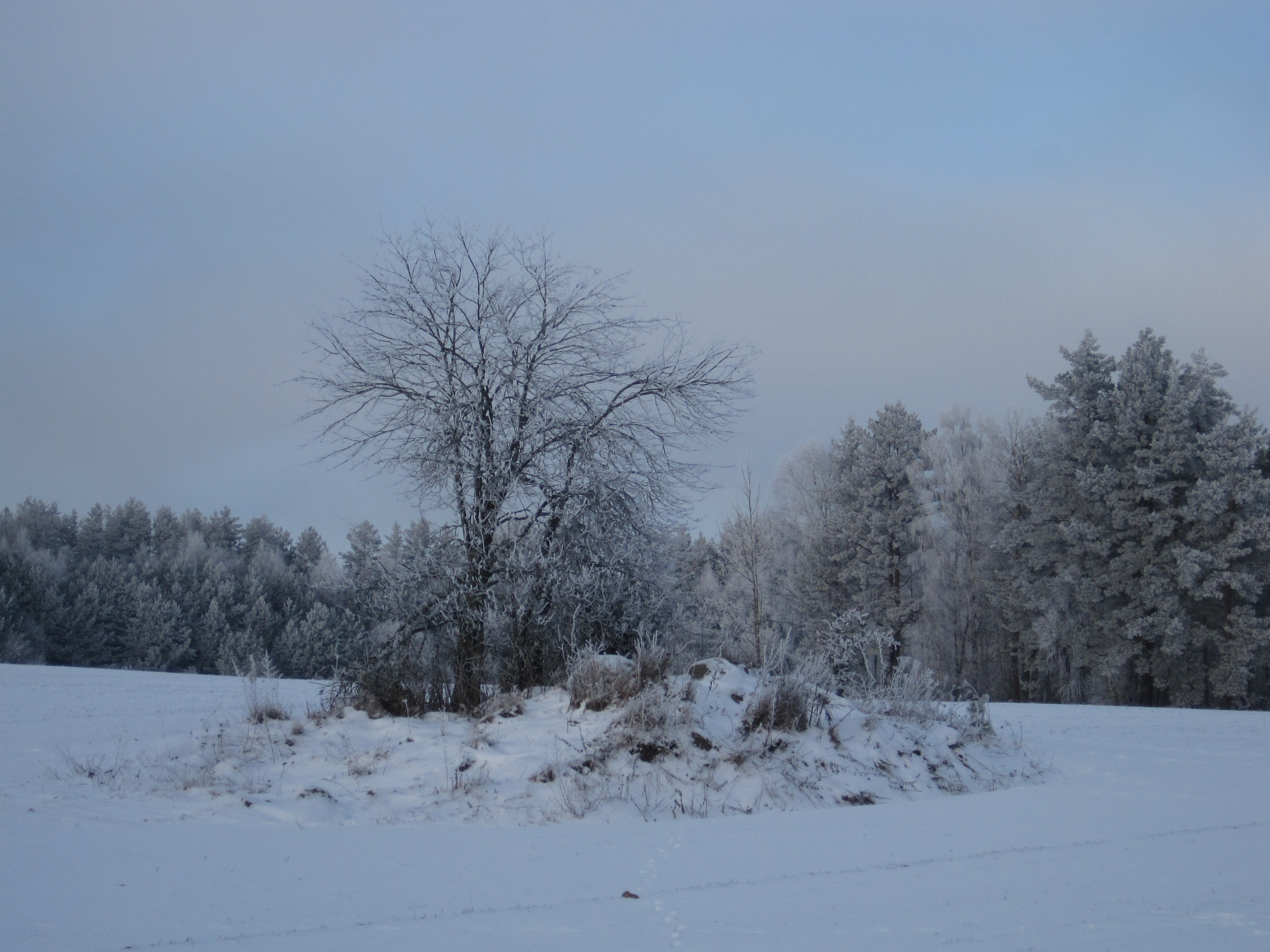Canon PowerShot SD1200 IS (Digital IXUS 95 IS / IXY Digital 110 IS) sample photo. Snowy isle photography