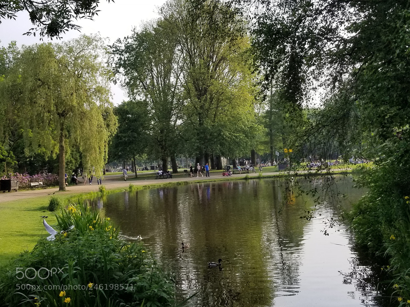 Samsung Galaxy S8 sample photo. 20170529_193415.jpg photography
