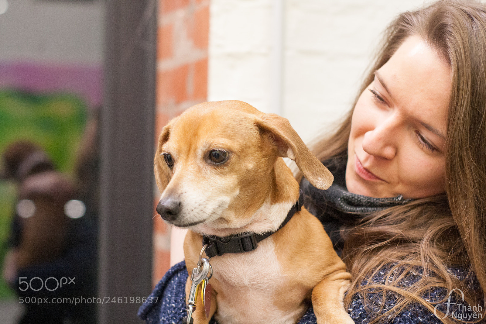 Canon EOS 40D sample photo. Img photography