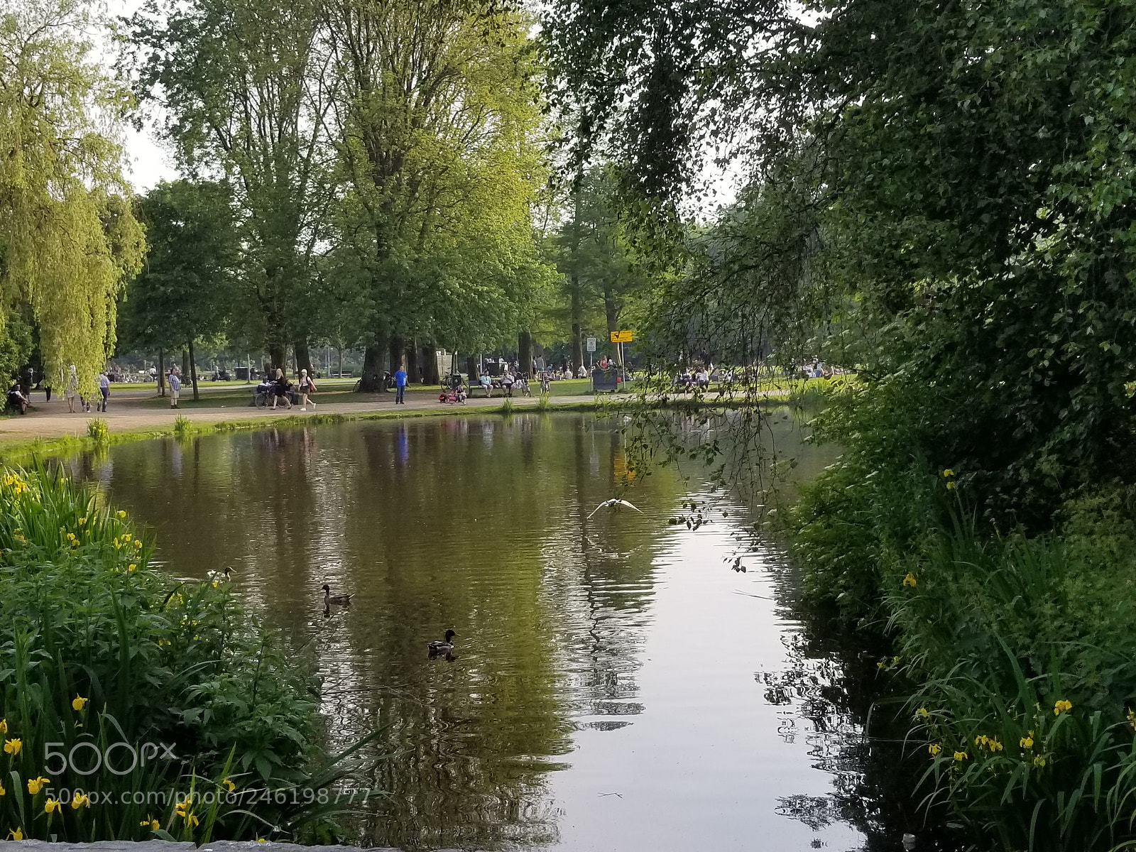 Samsung Galaxy S8 sample photo. 20170529_193418.jpg photography