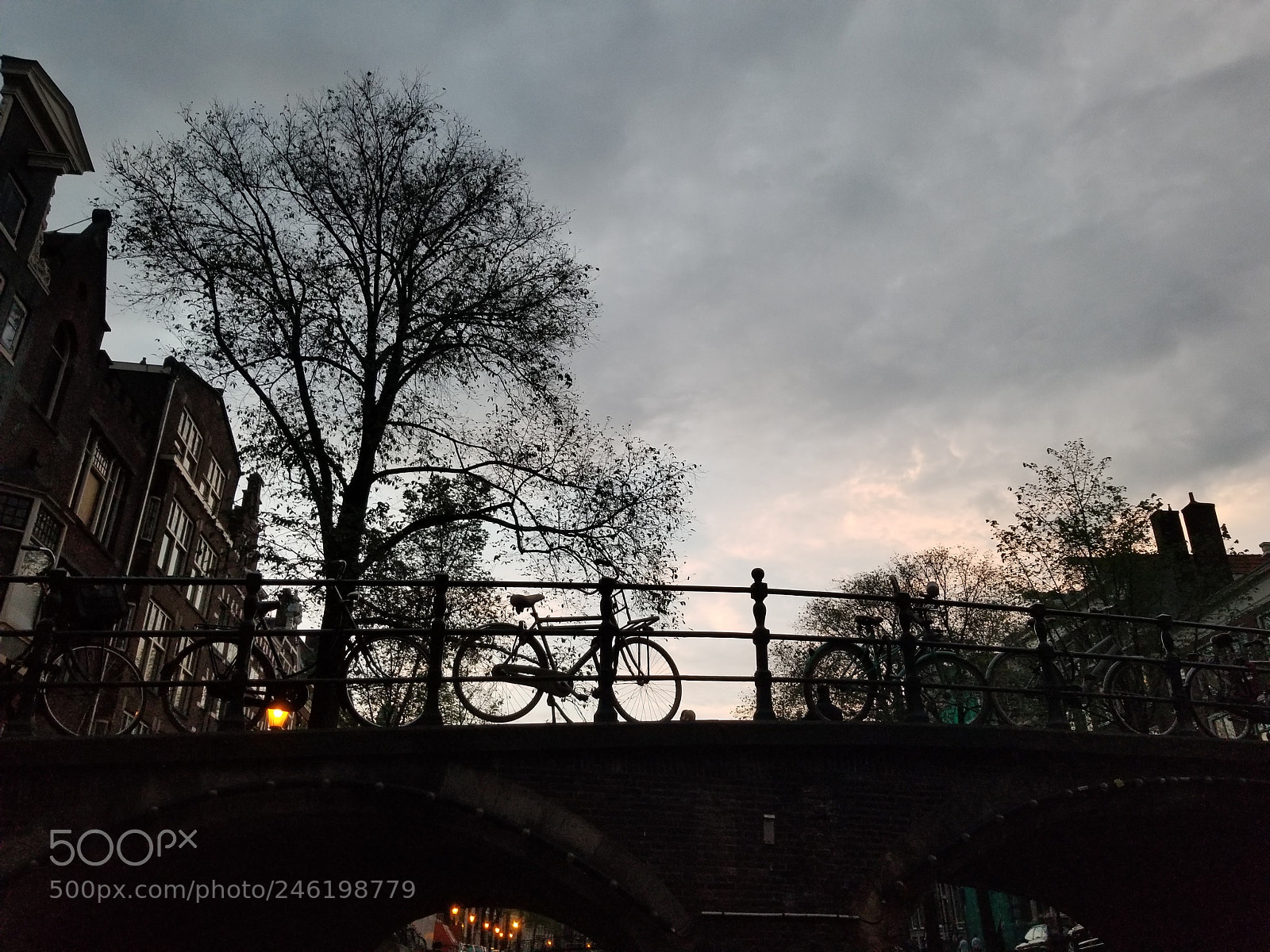 Samsung Galaxy S8 sample photo. 20170528_215540.jpg photography