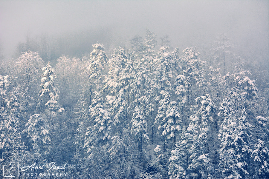 Nikon D7100 sample photo. Snooow photography