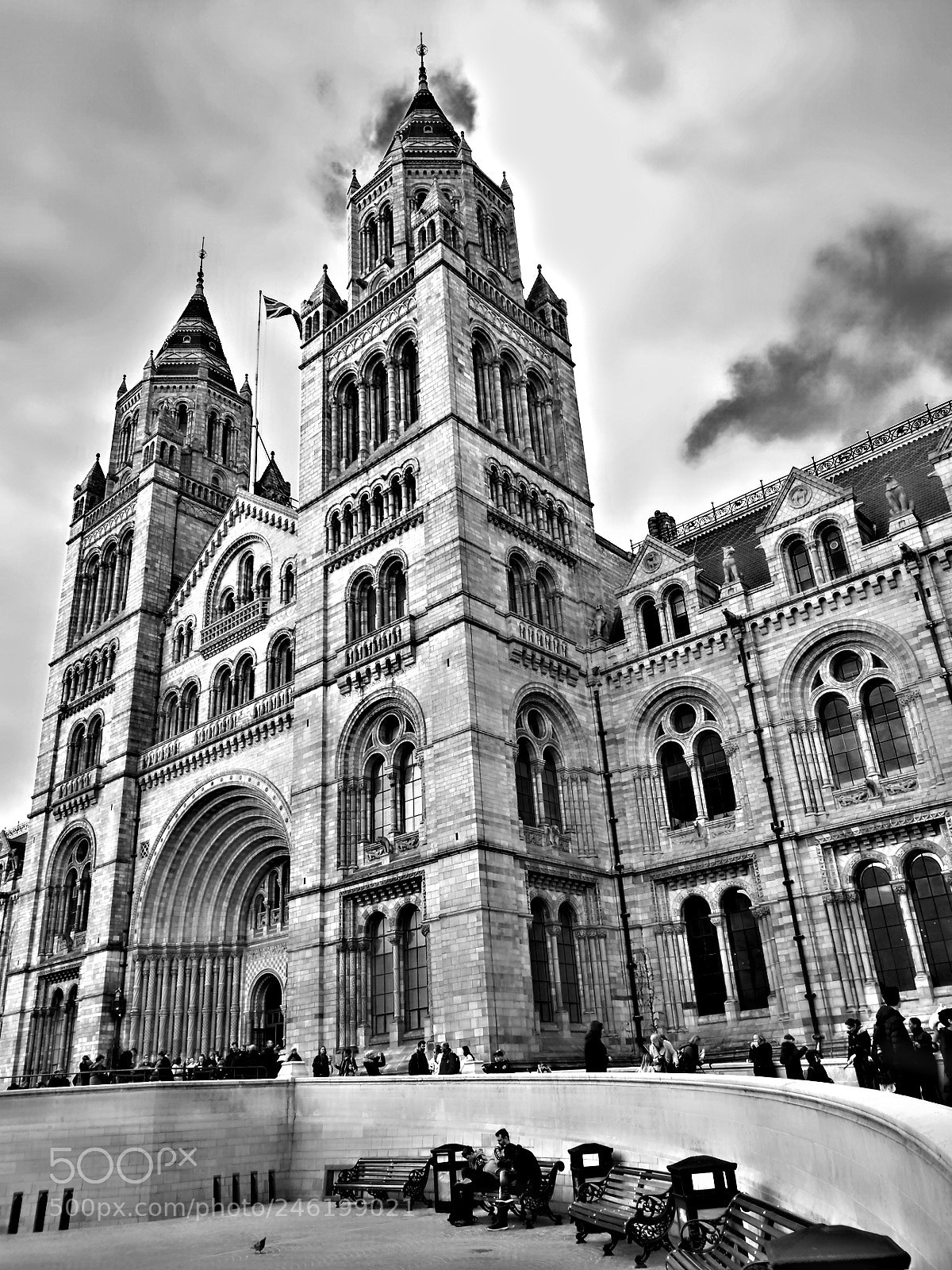 Motorola Moto G (5S) sample photo. Natural history museum photography