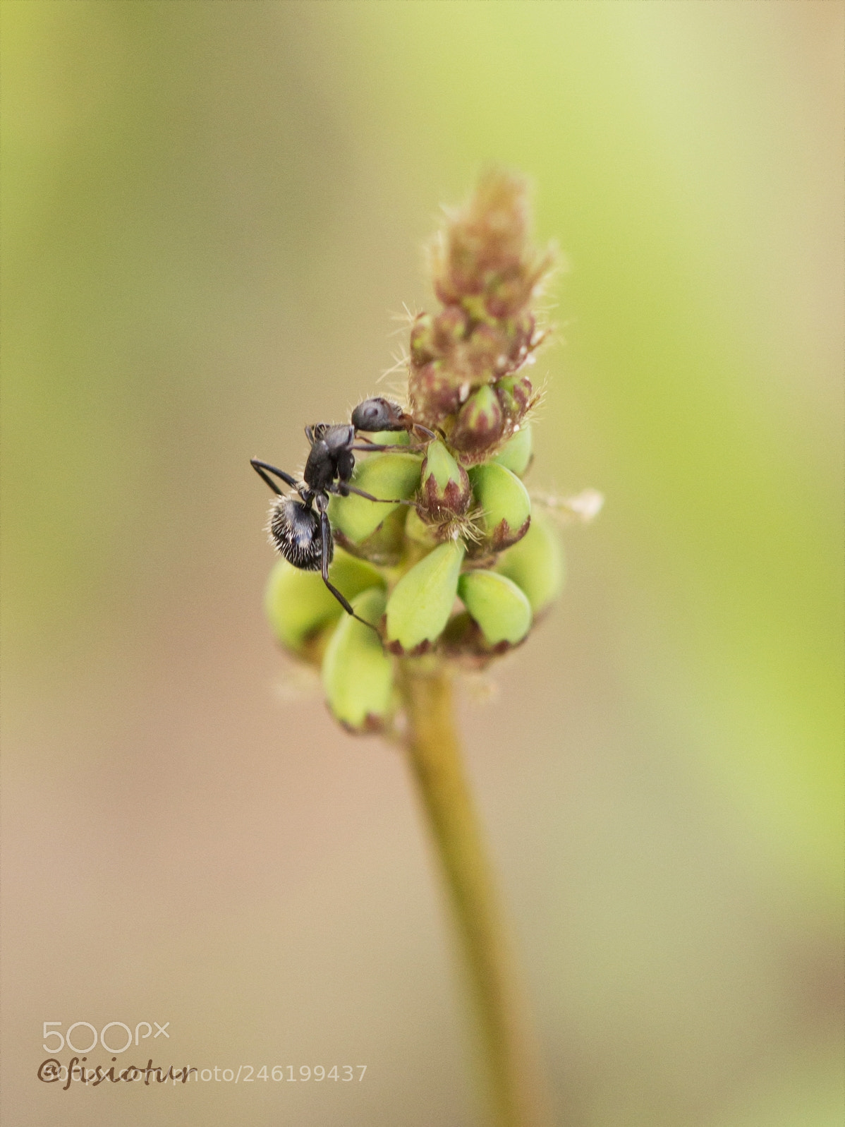 Canon EOS 700D (EOS Rebel T5i / EOS Kiss X7i) sample photo. Escalada... photography