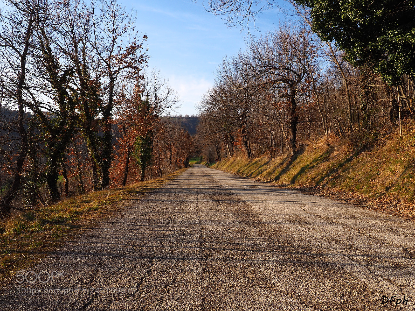 Olympus OM-D E-M10 II sample photo. Scatto profondo photography