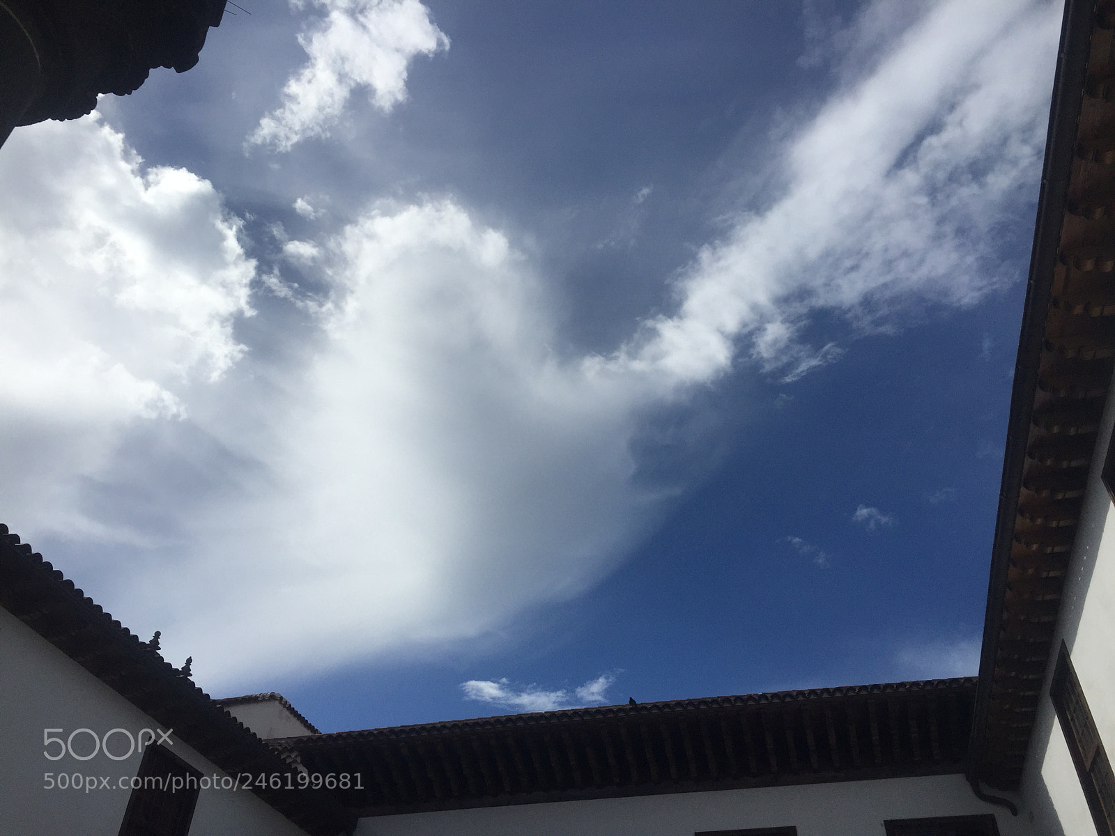 Apple iPhone 6 Plus sample photo. Untitled photography
