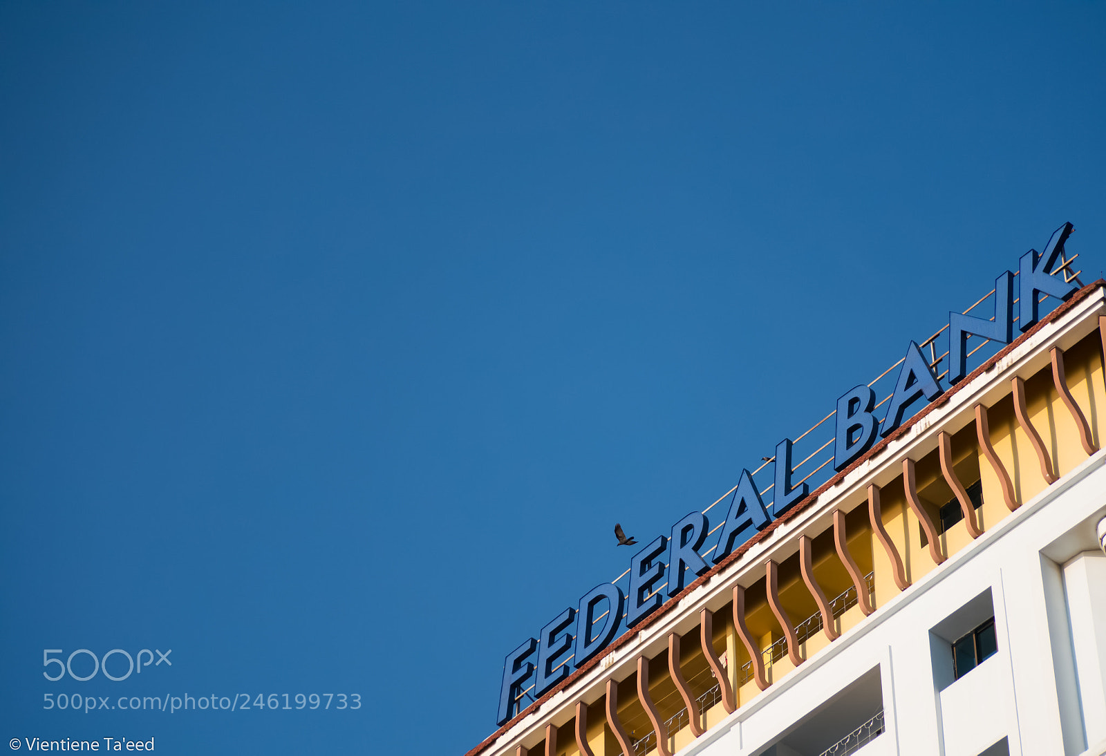 Panasonic Lumix DMC-G5 sample photo. Bluebird photography