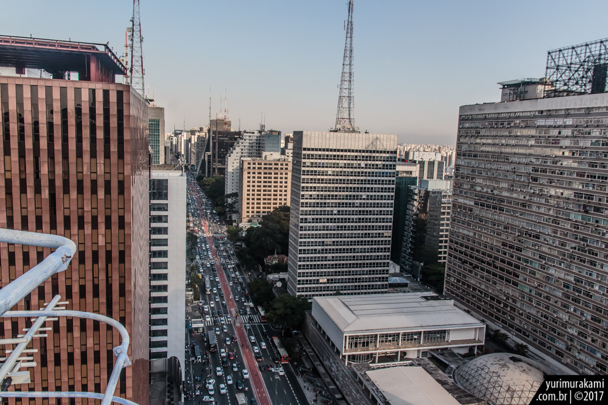 Canon EOS 650D (EOS Rebel T4i / EOS Kiss X6i) sample photo. Avenida paulista photography