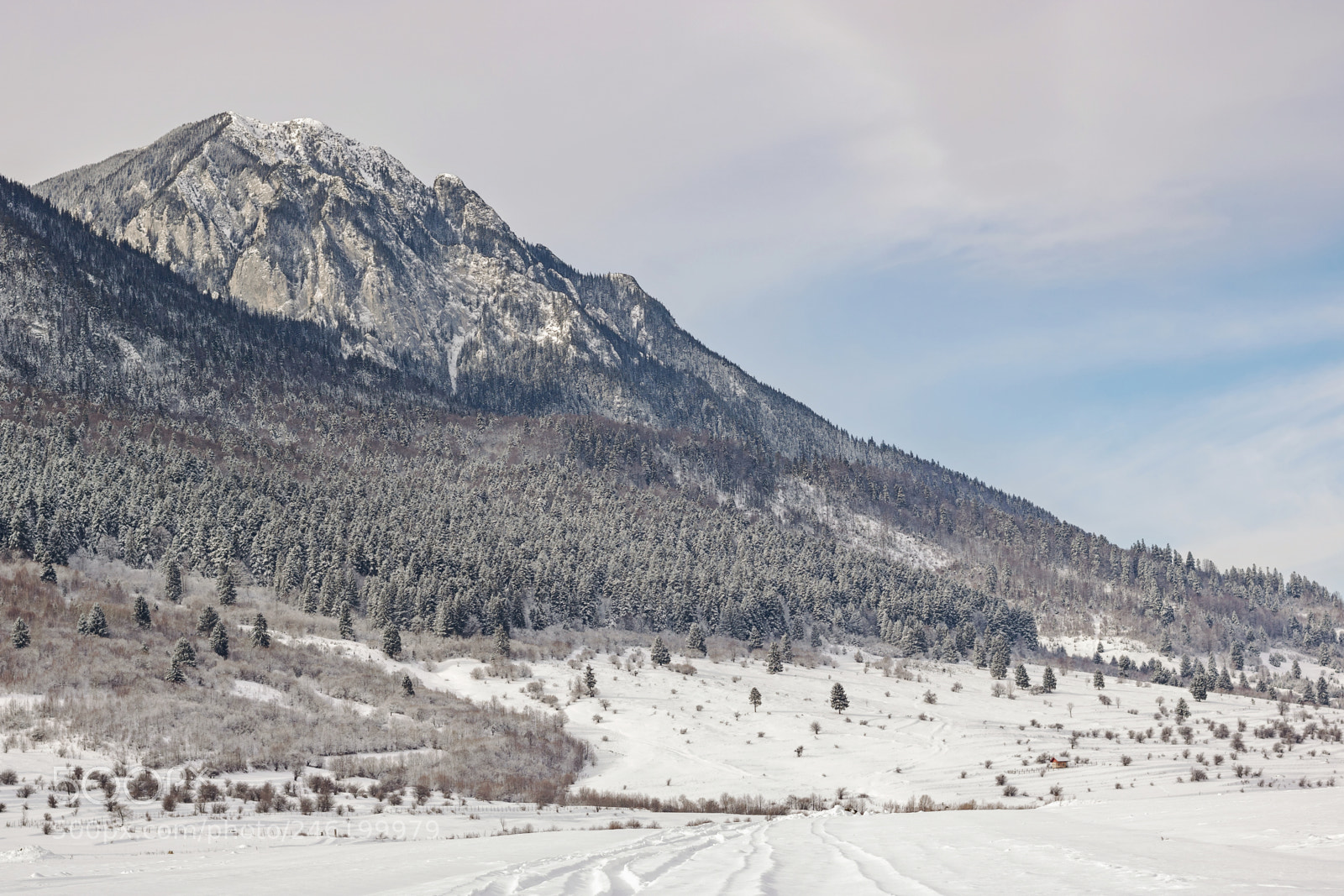 Canon EOS 750D (EOS Rebel T6i / EOS Kiss X8i) sample photo. Winter in zarnesti photography