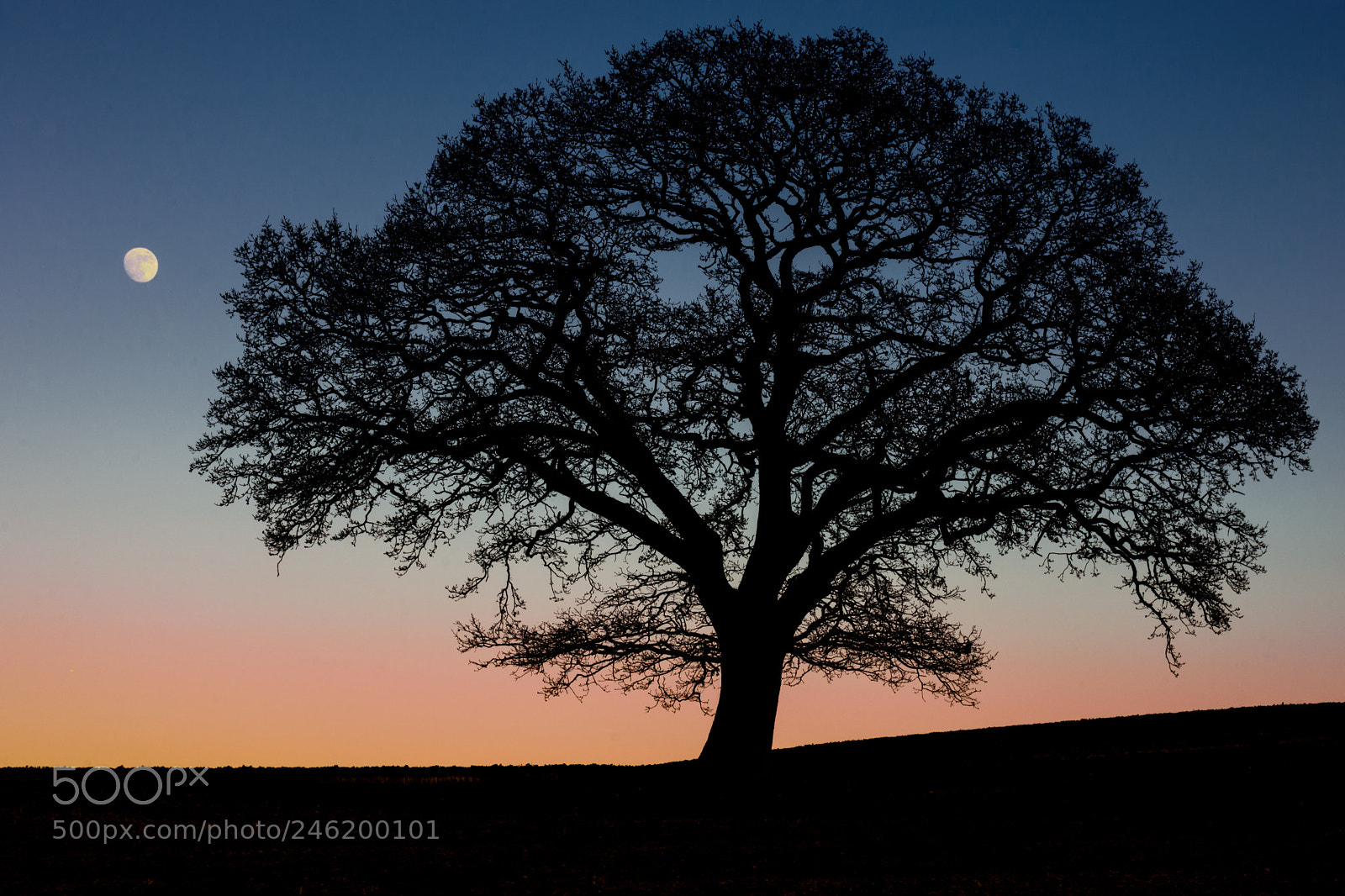 Nikon D7200 sample photo. Twilight and shadow photography