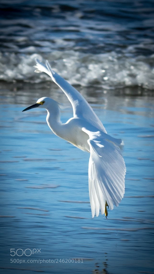 Canon EOS 7D Mark II sample photo. Landing photography