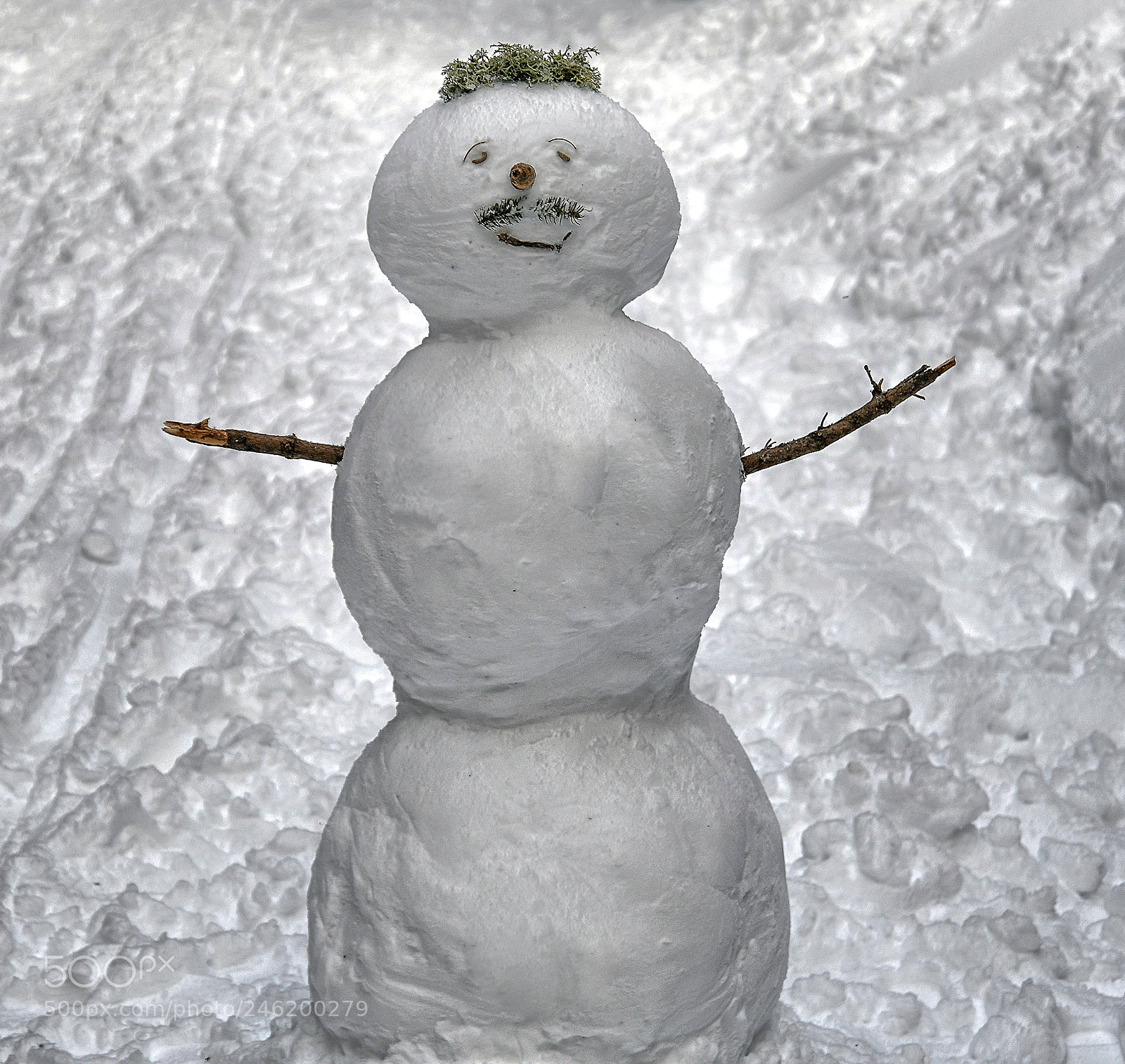Nikon D850 sample photo. Mr. snow photography