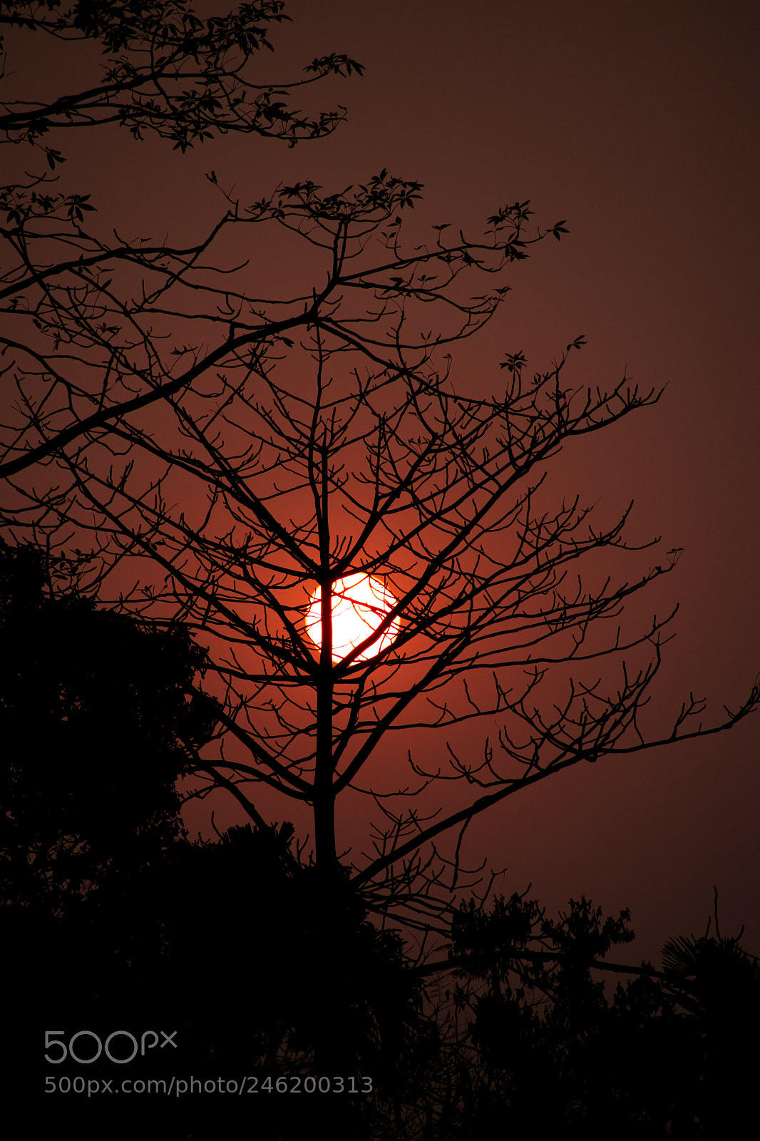 Nikon D3400 sample photo. Feel in ❤ love photography