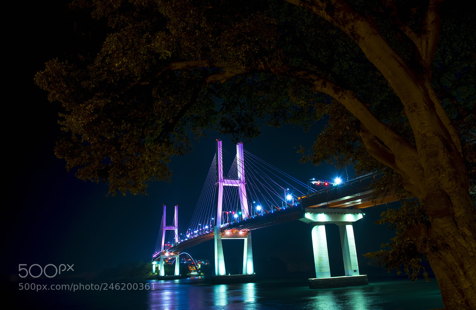 Nikon D810 sample photo. Untitled photography