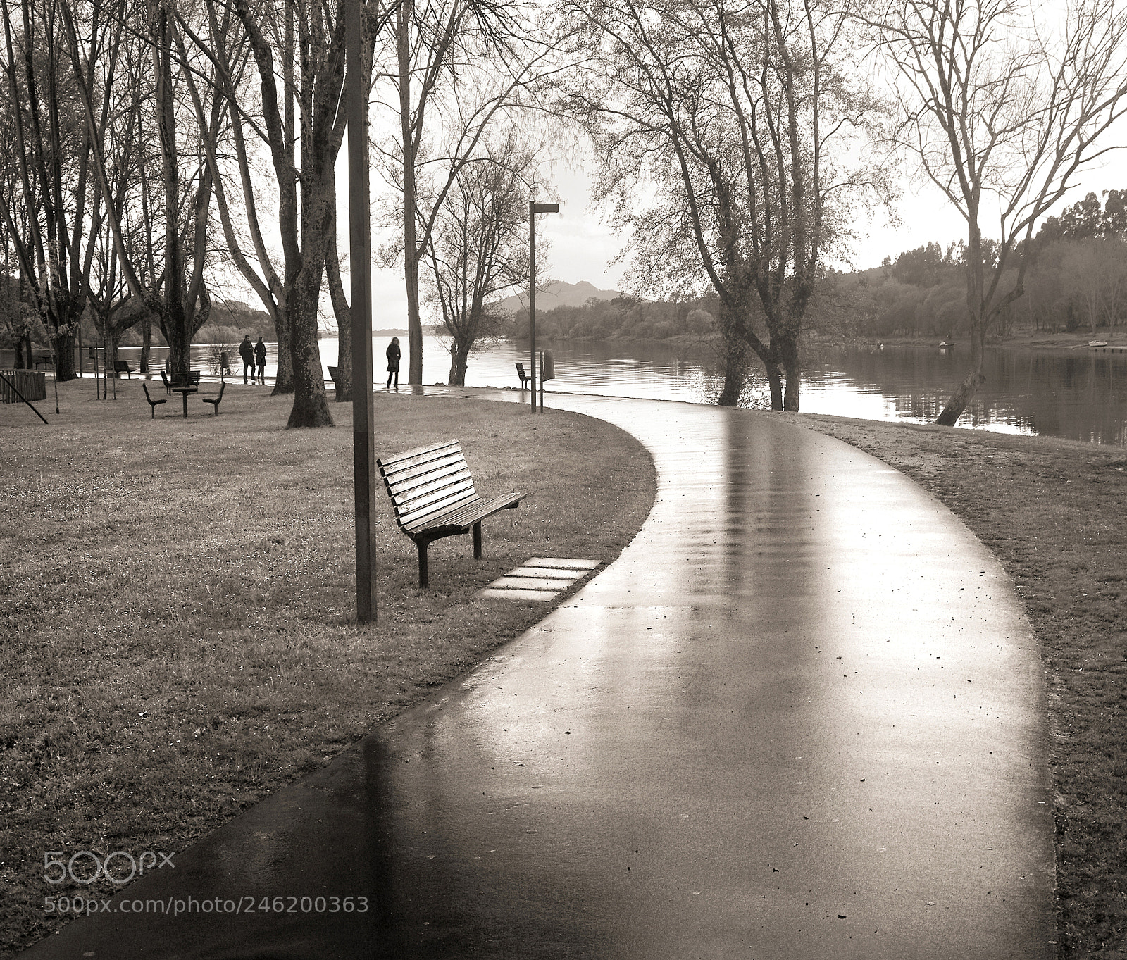 Pentax K20D sample photo. Curvy pathway photography