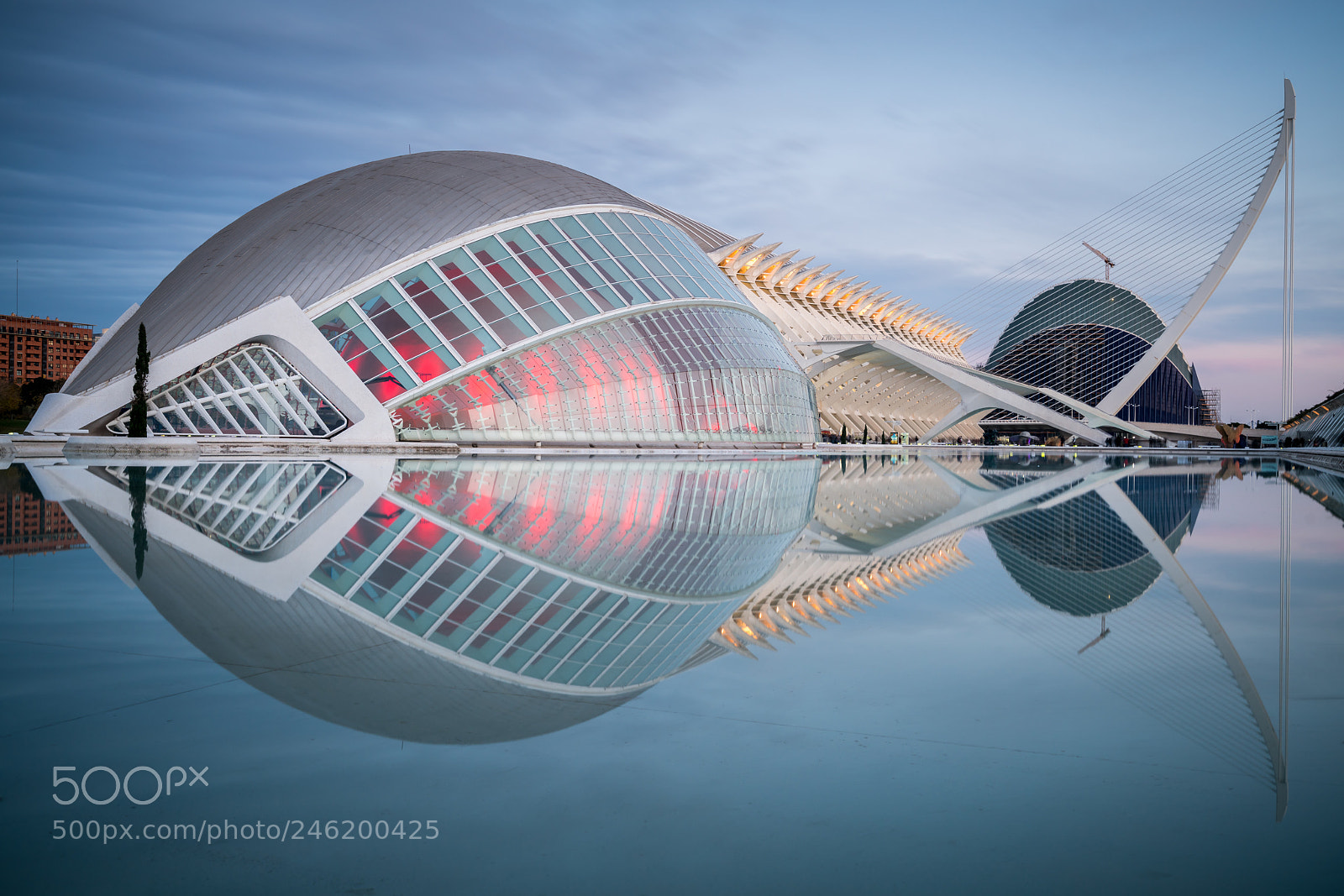 Sony a7R II sample photo. Fish eye photography