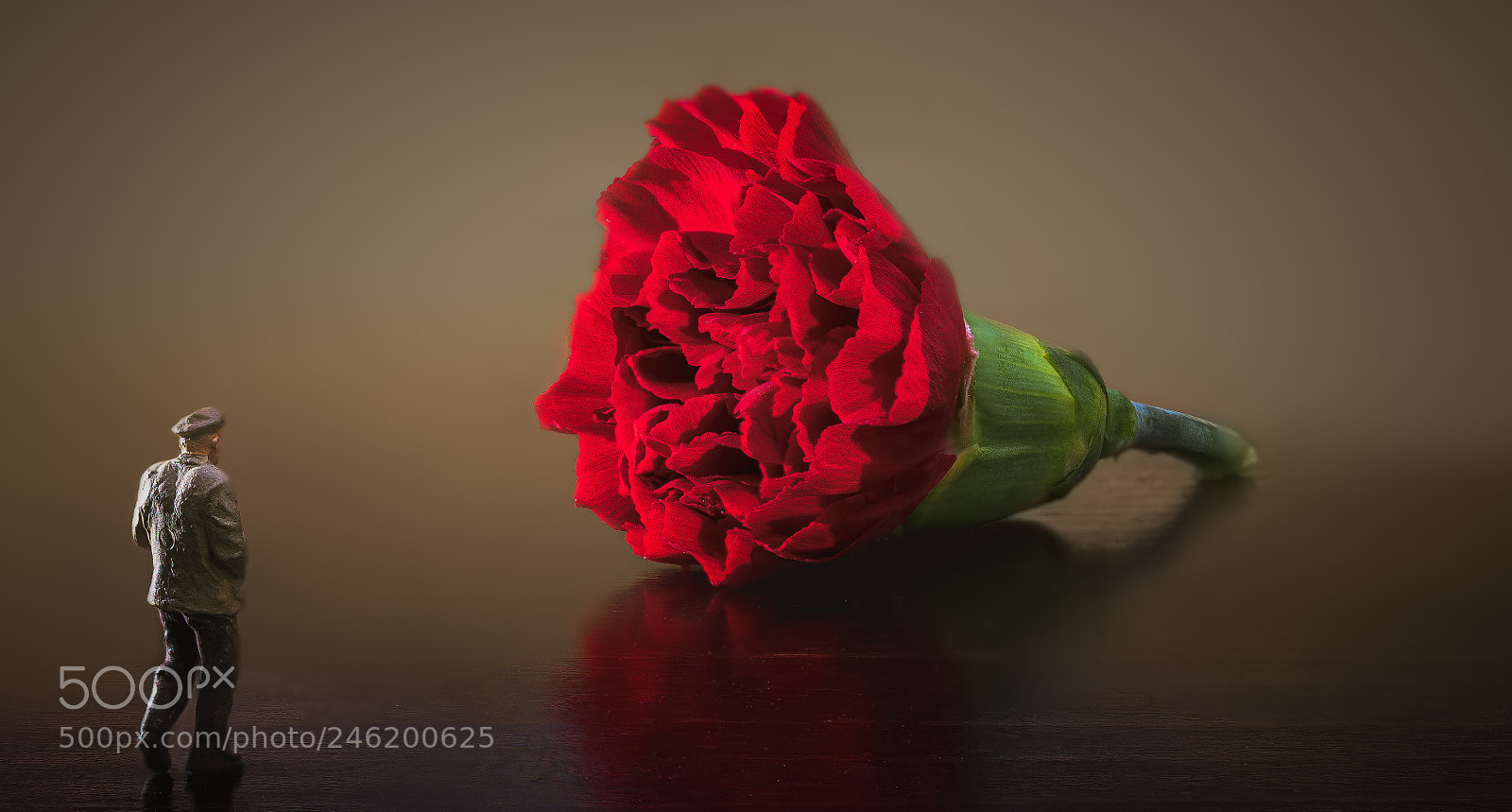 Sony a7R III sample photo. A lost soul photography