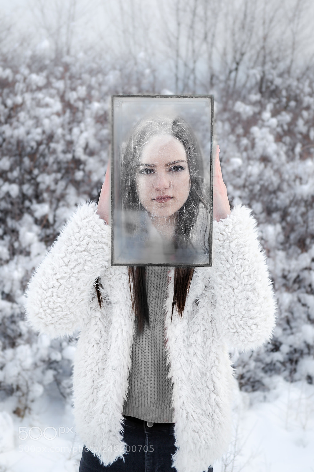 Nikon D3100 sample photo. Frozen photography