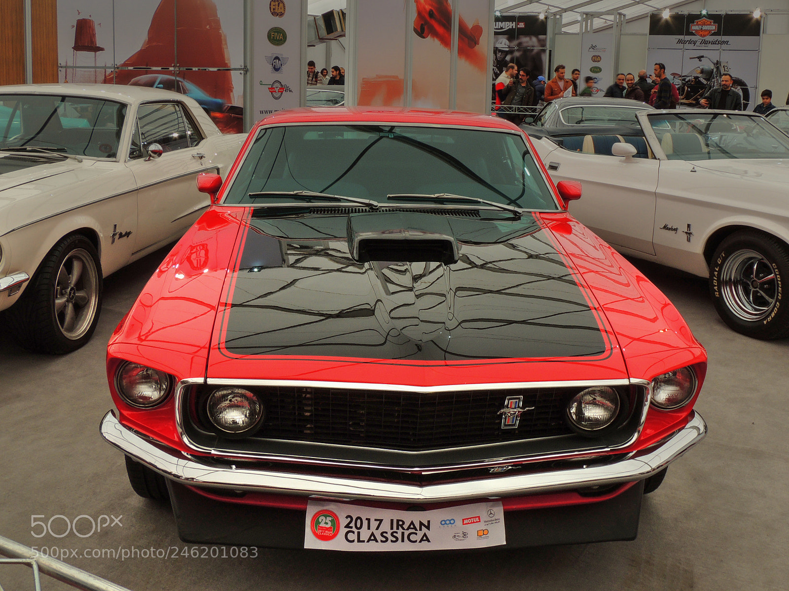 Nikon Coolpix P510 sample photo. Ford mustang 1969 photography