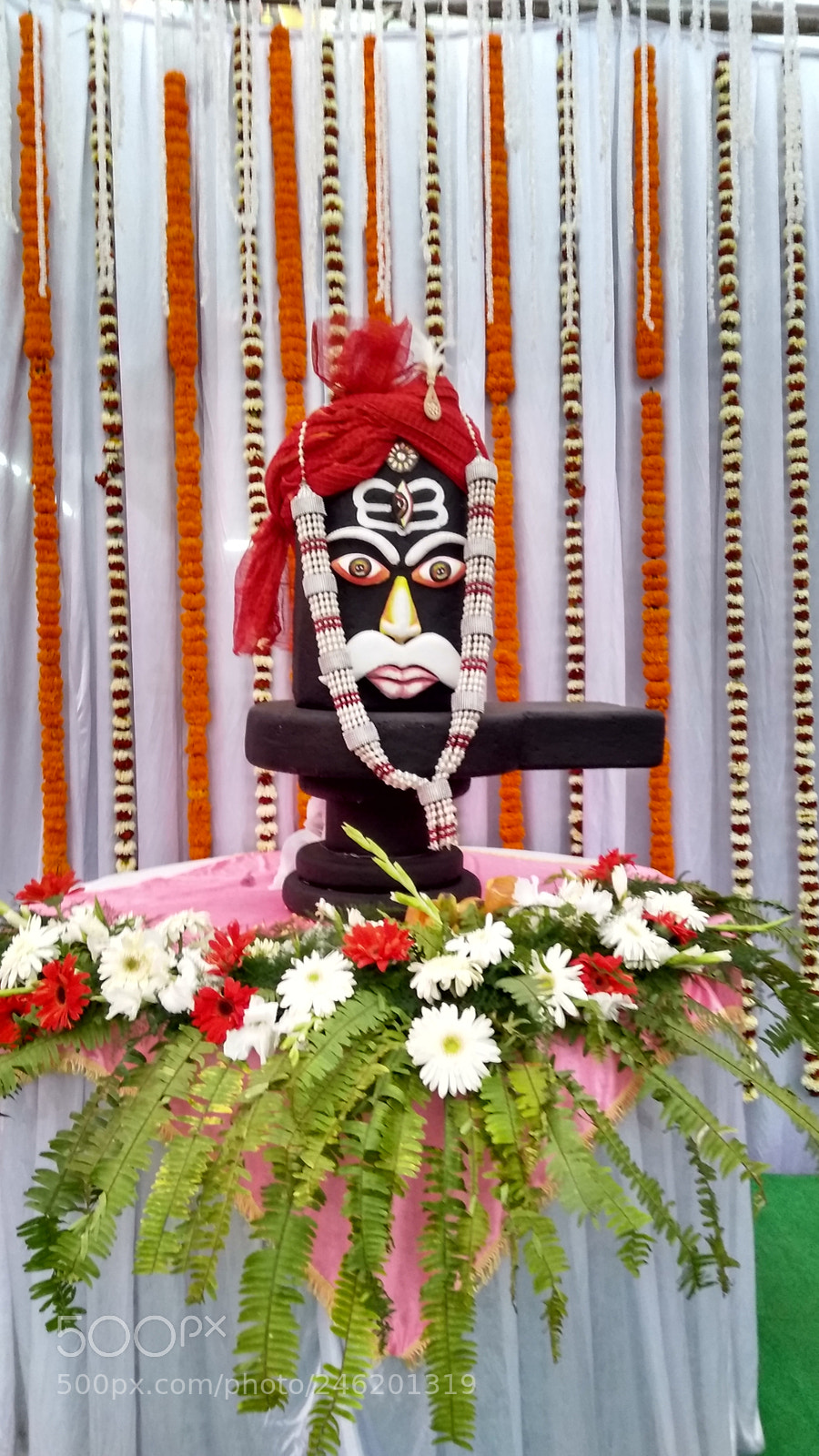 Motorola Moto G (5S) Plus sample photo. Untitled photography
