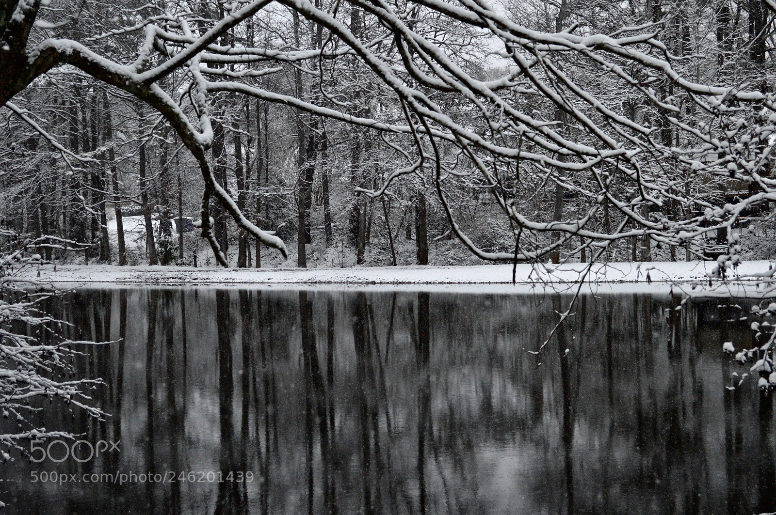 Nikon D3200 sample photo. Snow vii photography