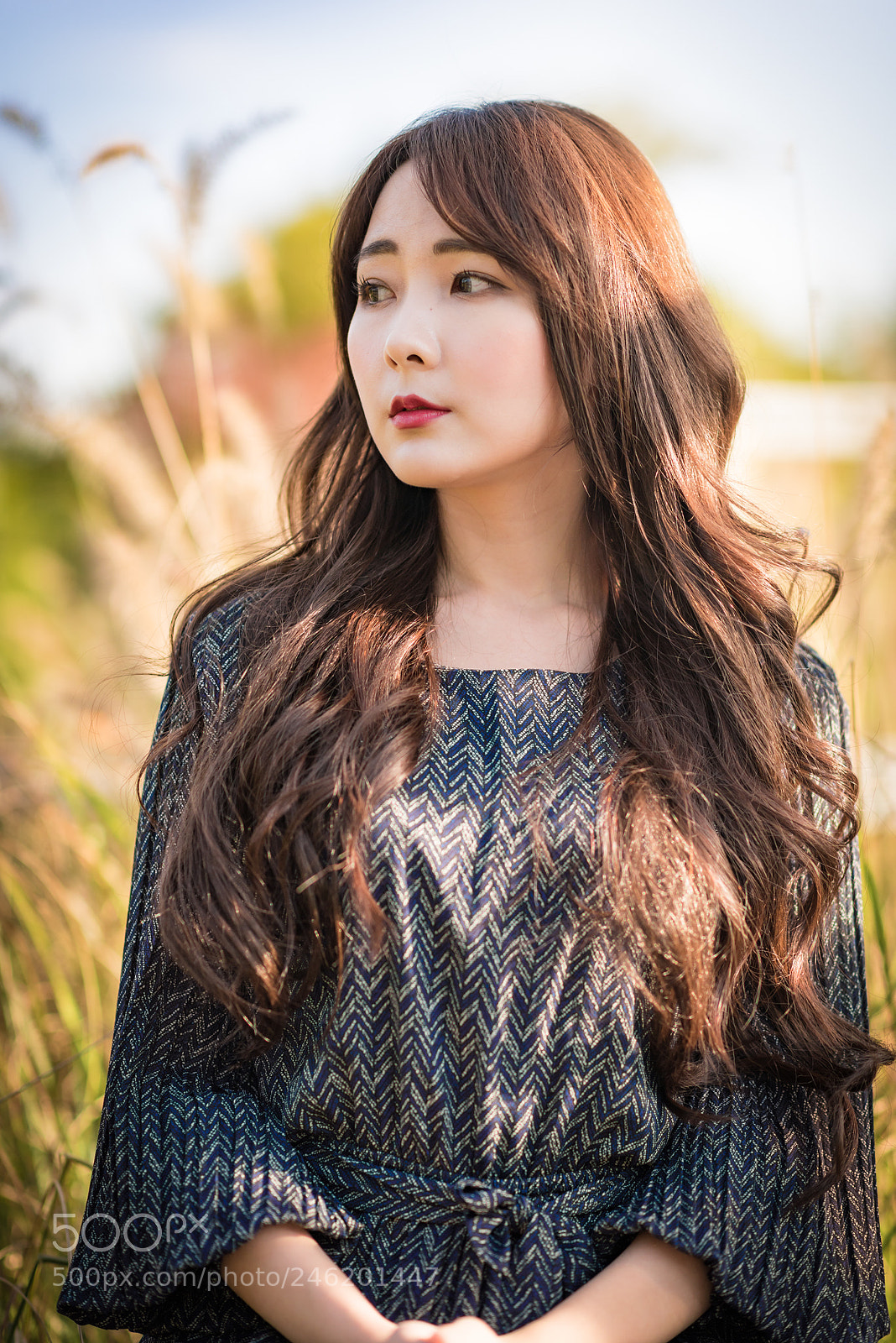 Nikon D810 sample photo. 10.15.2017 photography