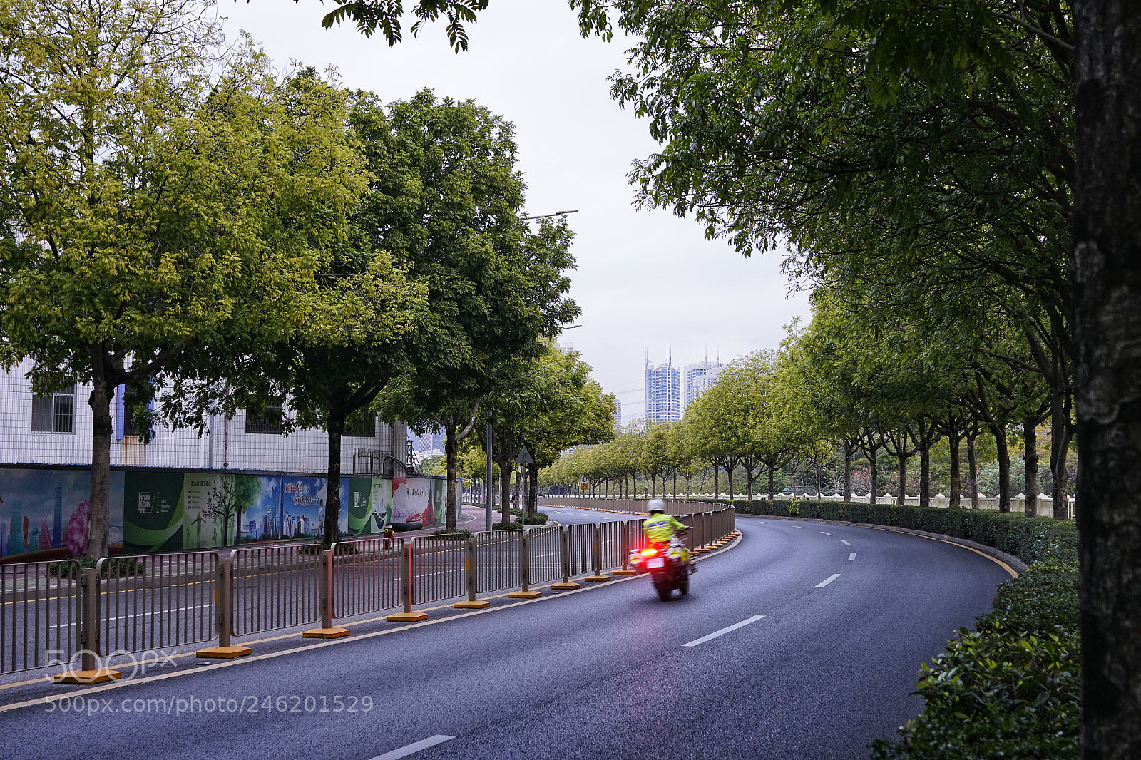 Sony a7R sample photo. Park photography