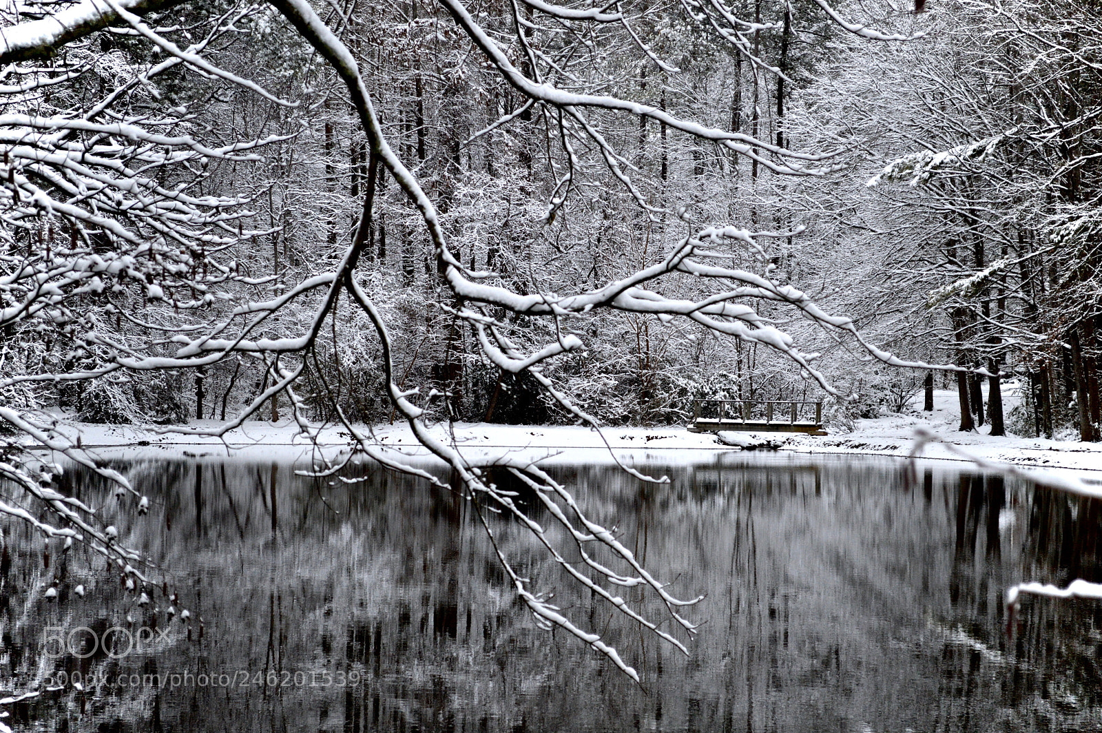 Nikon D3200 sample photo. Snow viii photography