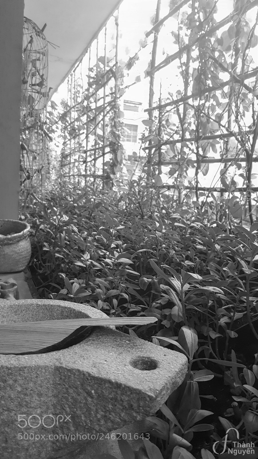 Samsung Galaxy S6 sample photo. 20160728_170212.jpg photography