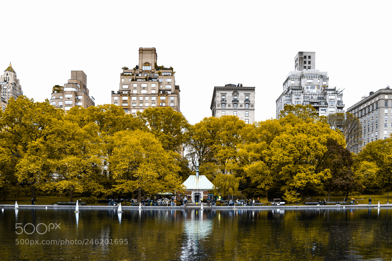 Nikon D3200 sample photo. Central park photography