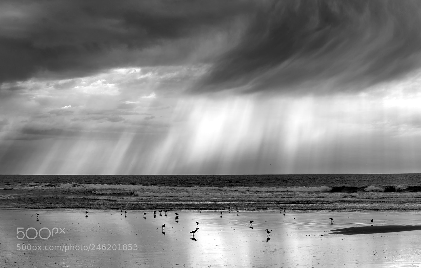 Sony a7R II sample photo. Storm's approach _ bw photography