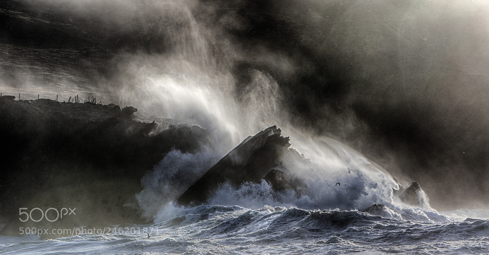 Canon EOS 7D Mark II sample photo. Gale force photography