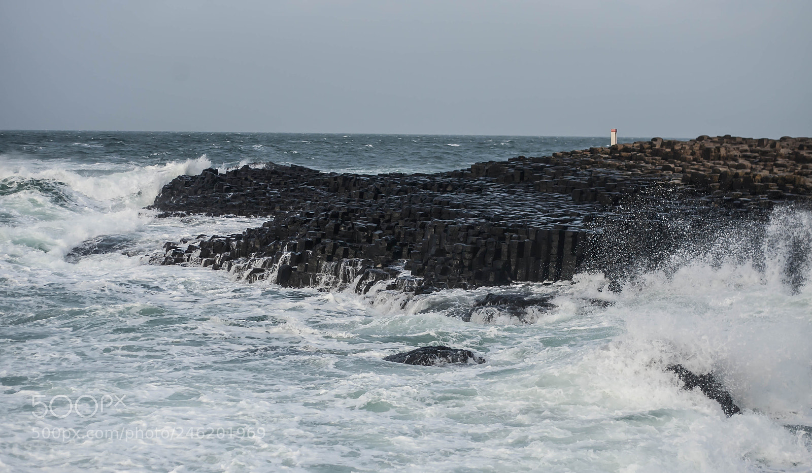 Canon EOS-1D Mark III sample photo. Splash photography