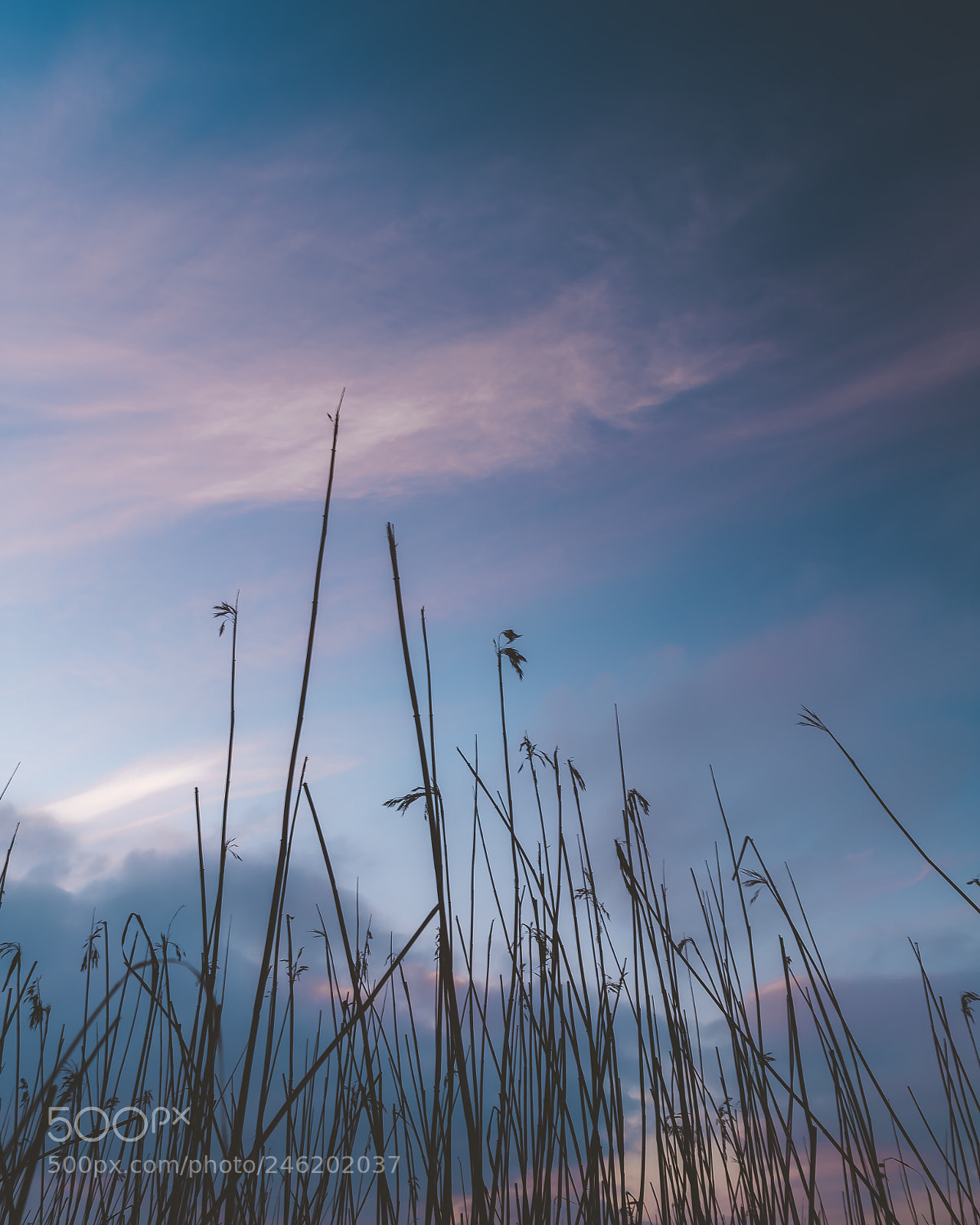 Nikon D5 sample photo. Beautiful sky photography